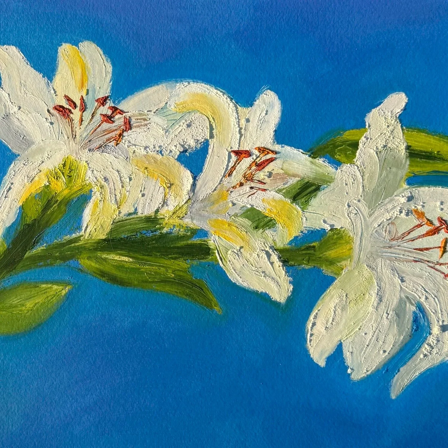 lillies.jpg