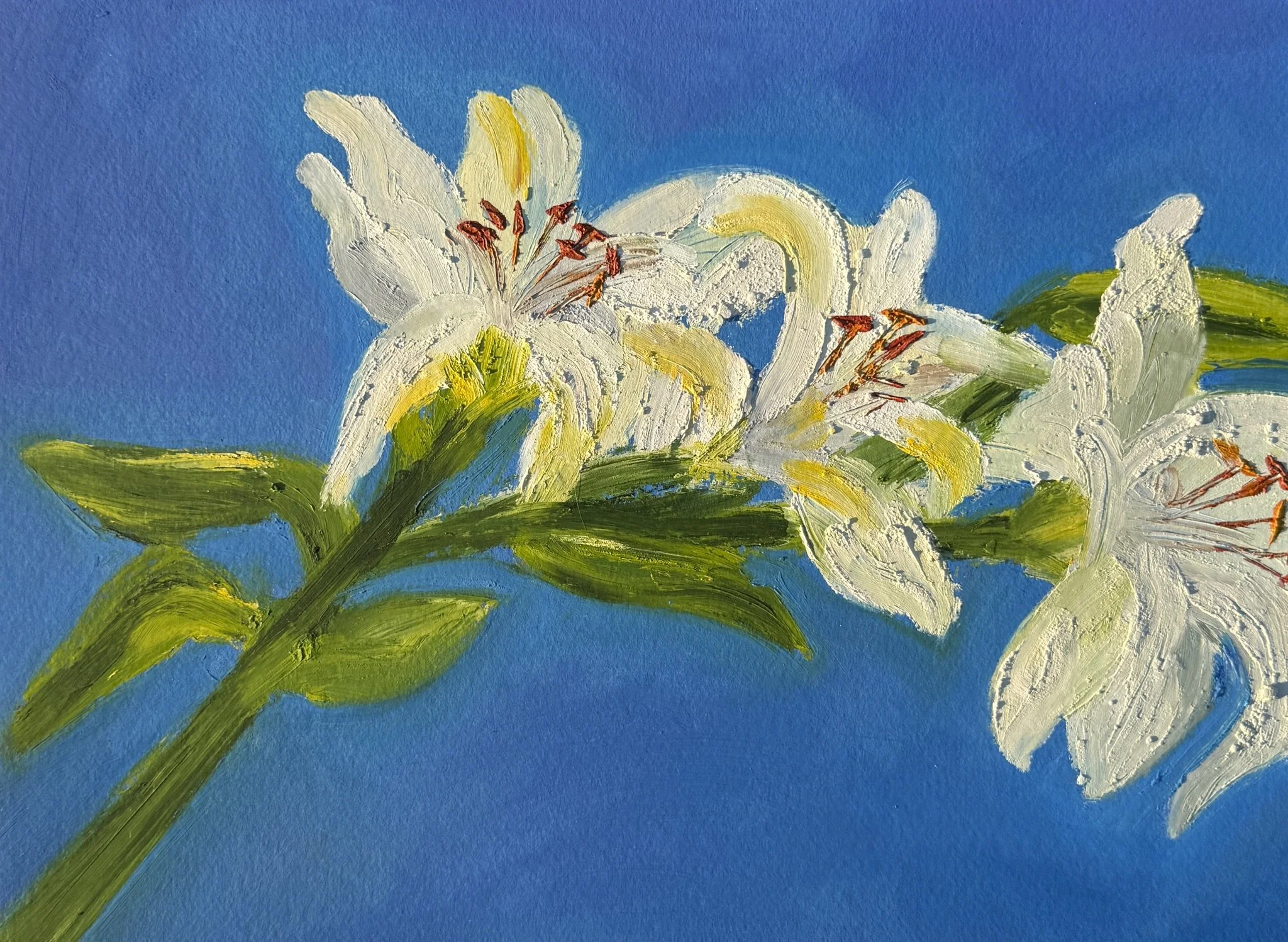 lillies.jpeg