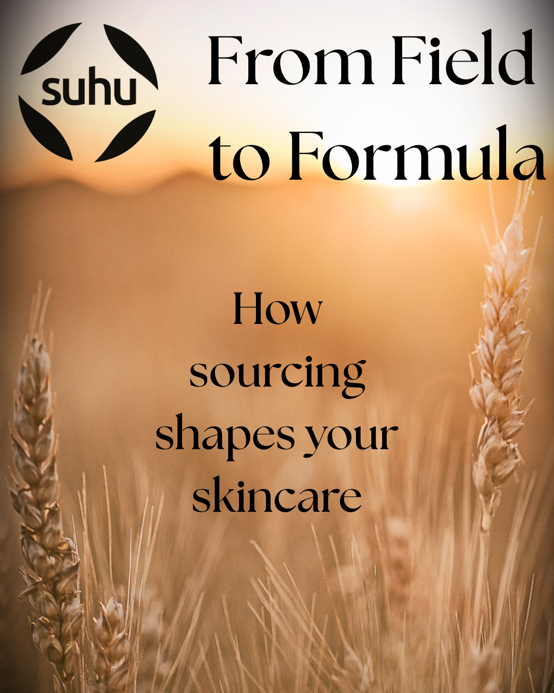 From Field to Formula: How Ingredients Sourcing Shapes Skincare