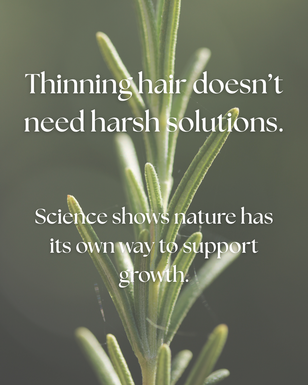 Rosemary and Peppermint: A Natural Ritual for Hair and Scalp Health