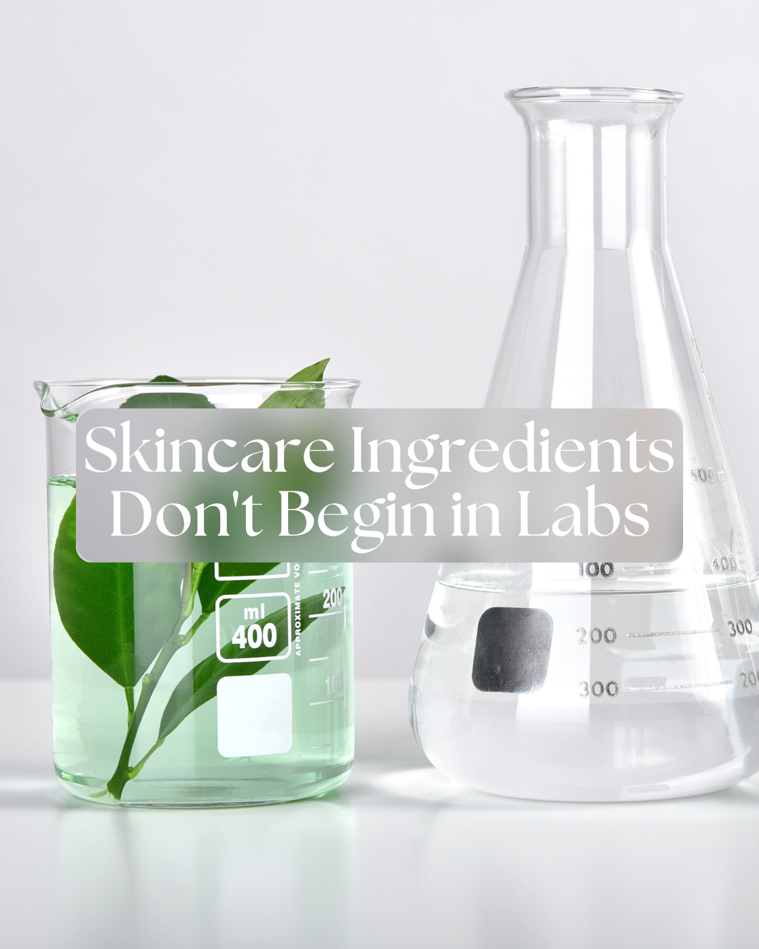 Where Ingredients Actually Come From