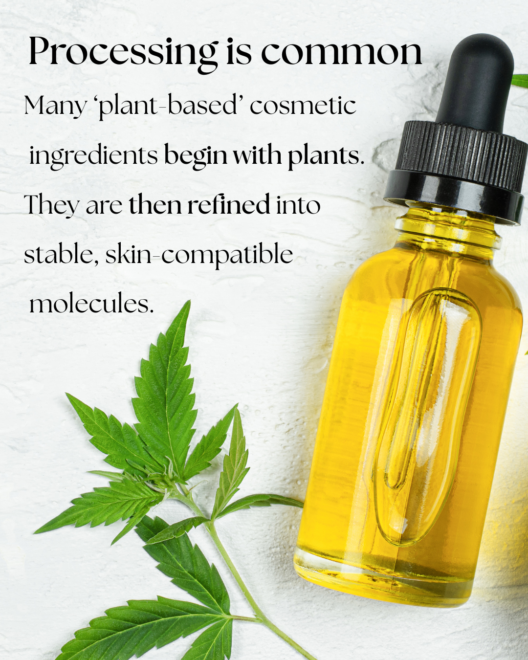 Plants leaves next to a serum bottle. Text reads "Processing is common. Many 'plant-based' cosmetic ingredients begin with plants. They are then refined into stable, skin-compatible molecules."