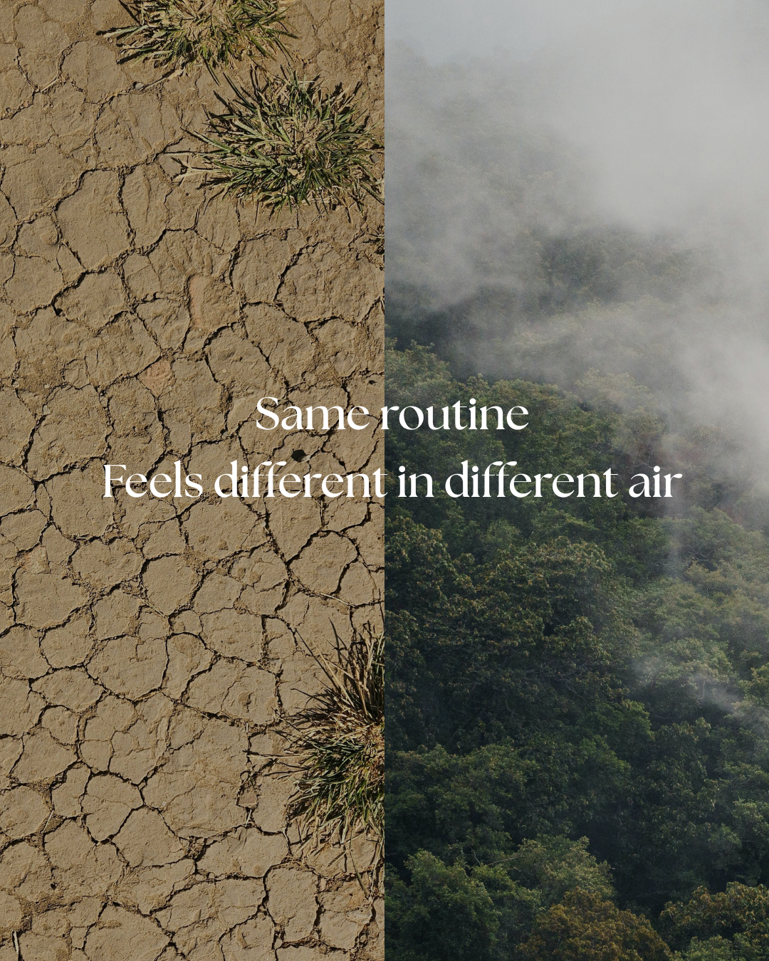 Dry desert by humid jungle. "Same routine feels different in different air"