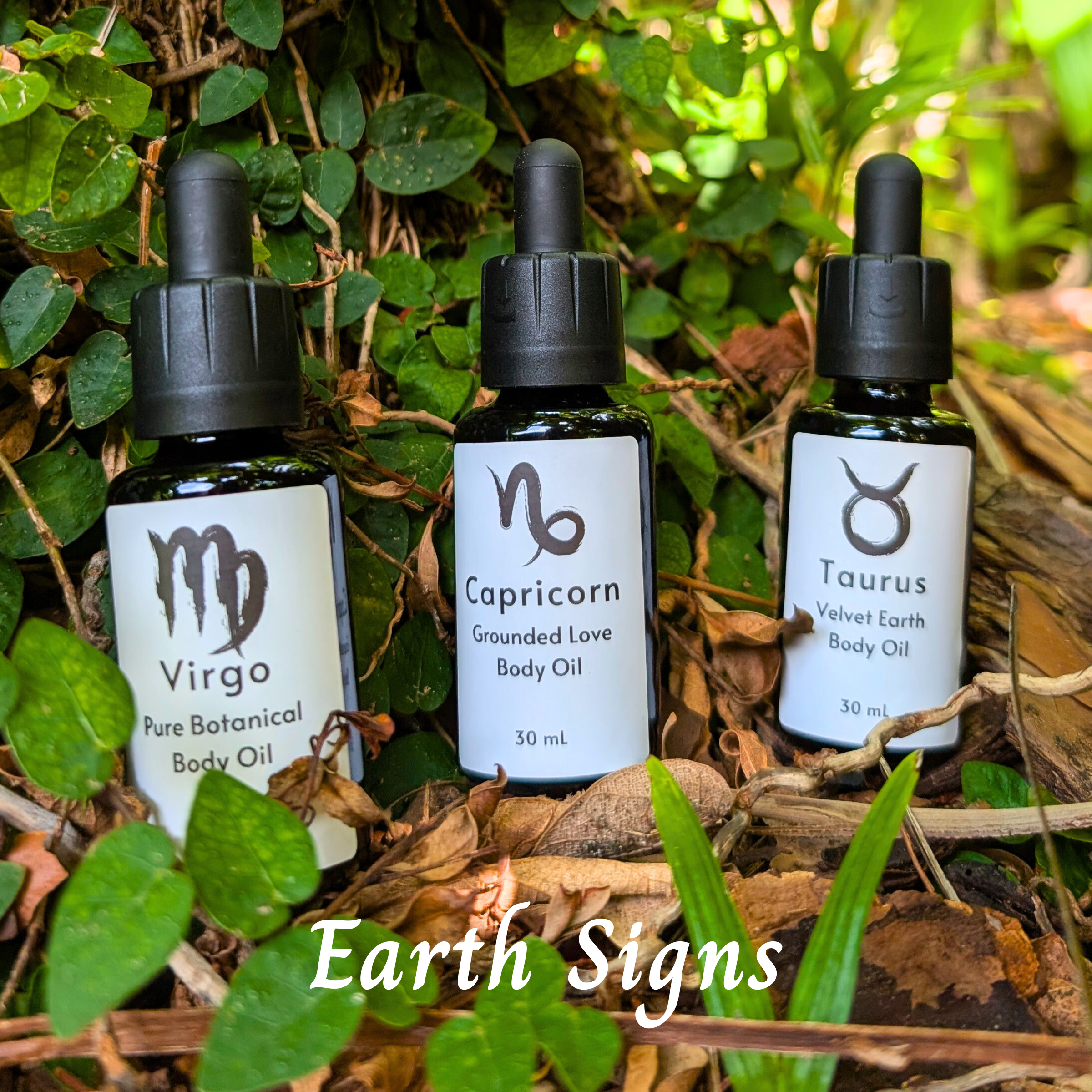 November 2025 Website Product Photos - APPROVED.png