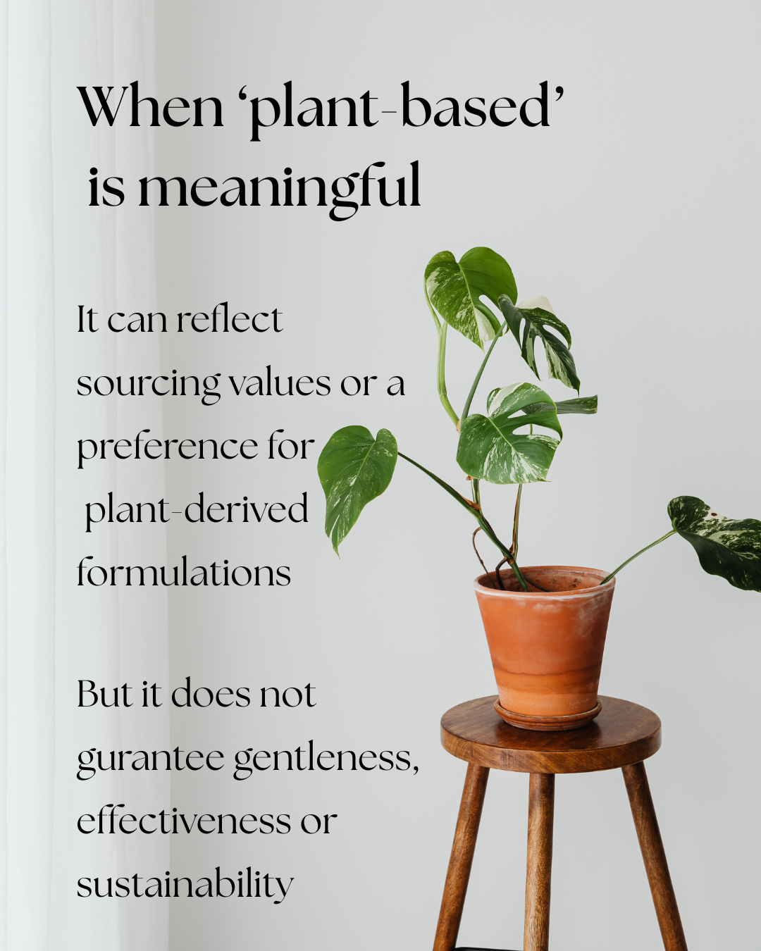 House plant on a stool. Text reads "When 'plant-based is meaningful. It can reflect sourcing values or a preference for plant-derived formulations. But it does not guarantee gentleness, effectiveness or sustainability