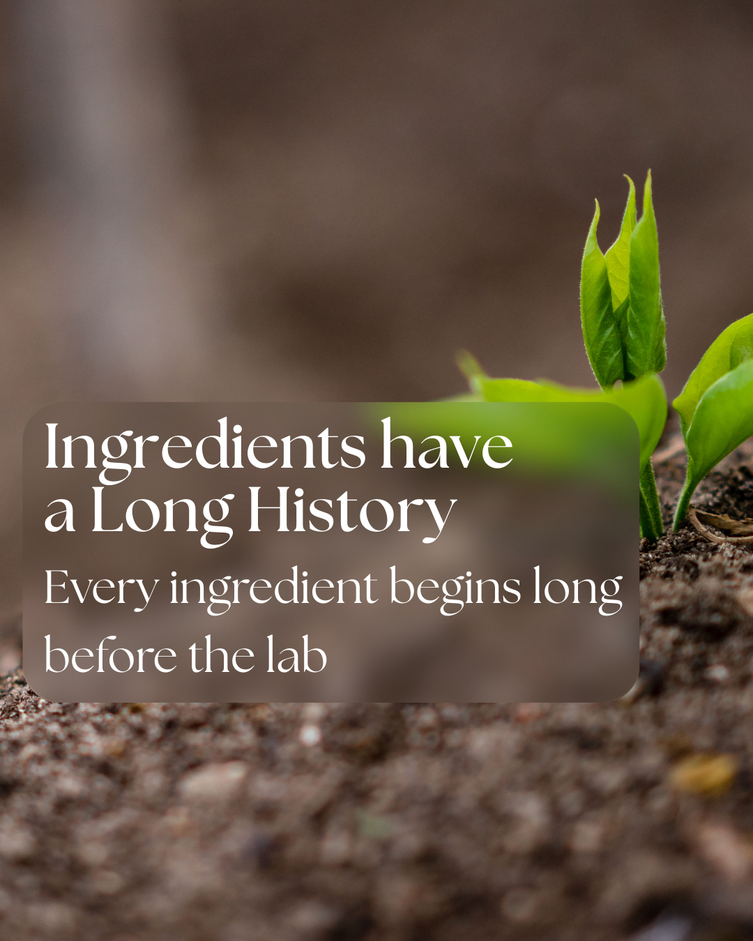 Summary graphic explaining that skincare ingredients have a long journey from agricultural crops through processing, transport, and formulation.