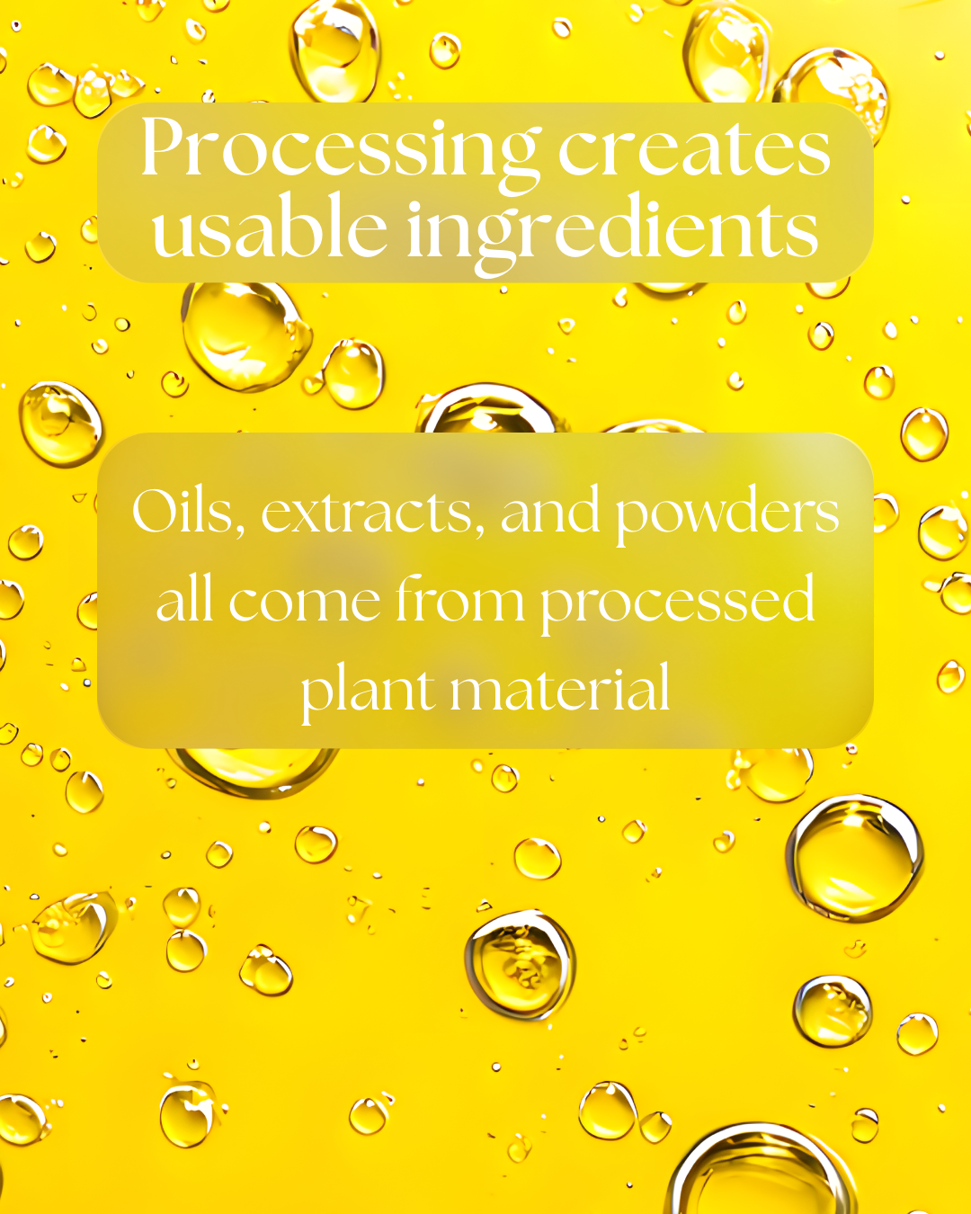 Visual explanation showing how processing transforms plant material into usable skincare ingredients such as oils, extracts, and powders.
