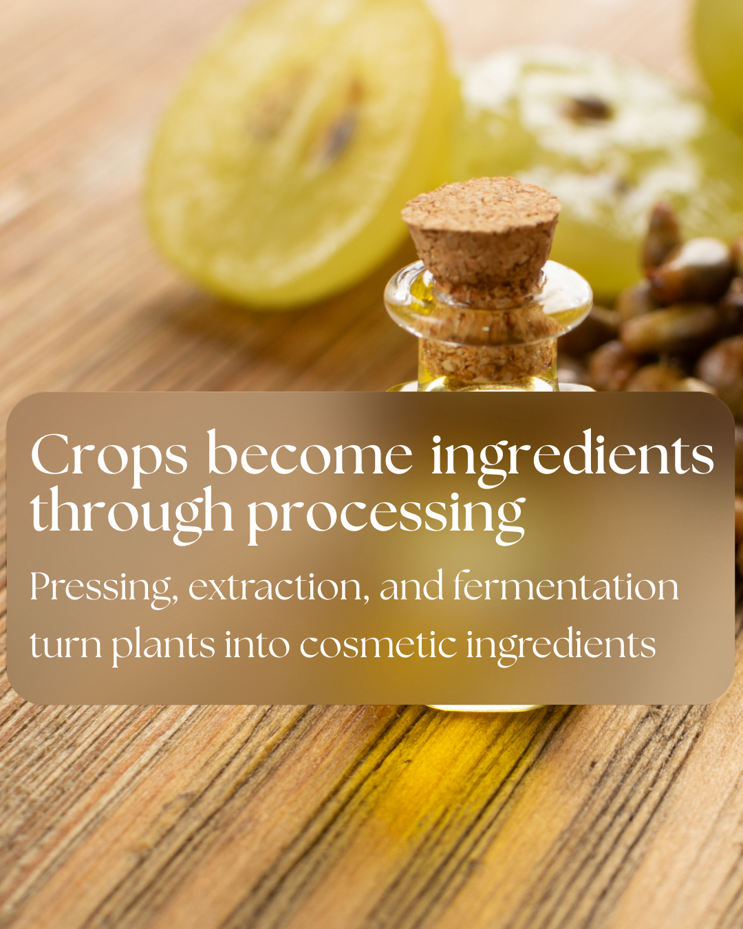 Educational slide explaining that plant materials are processed through pressing, extraction, or fermentation to create cosmetic ingredients.