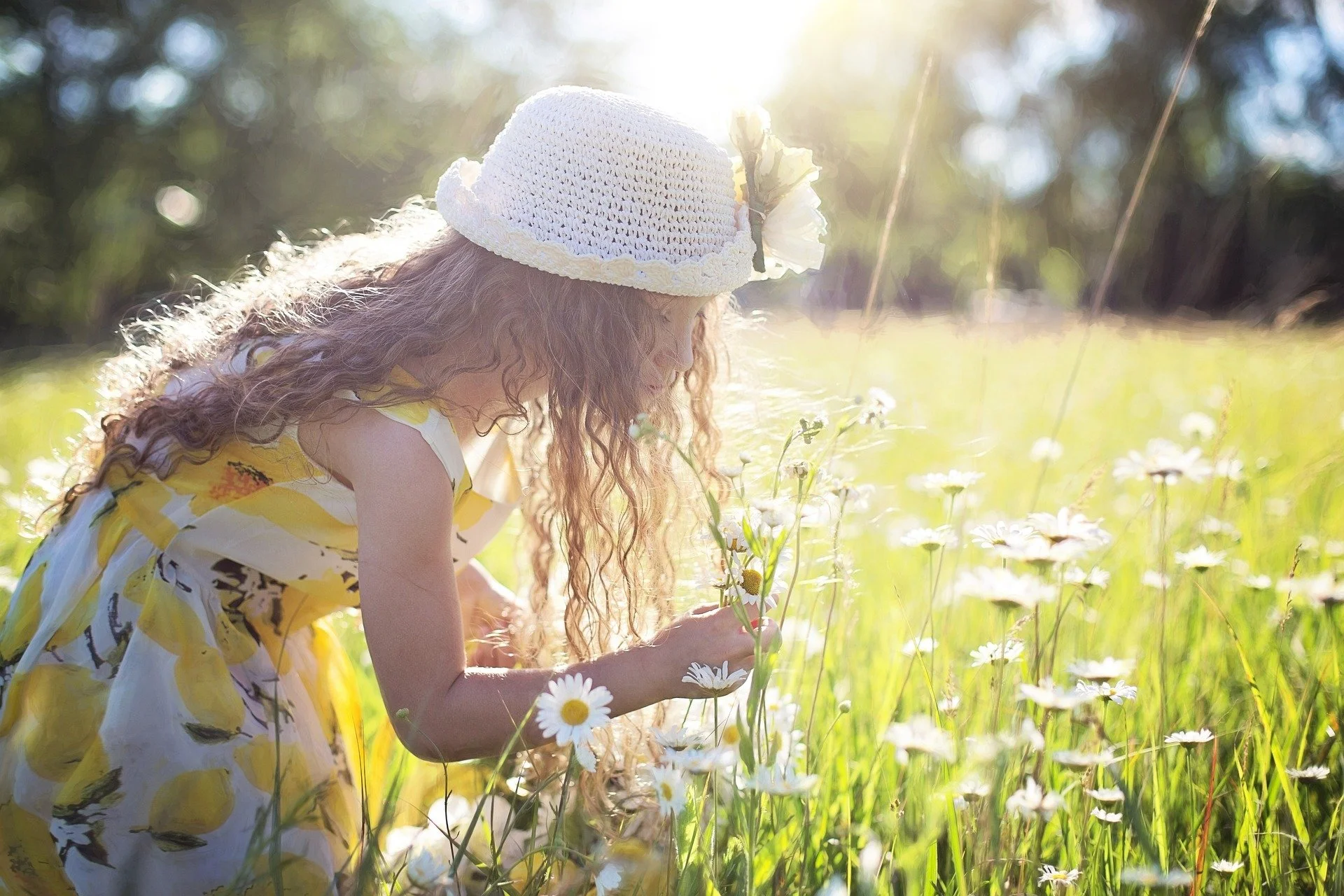 How Playing in Green Daycare Yards Boosts Kids' Immune Health