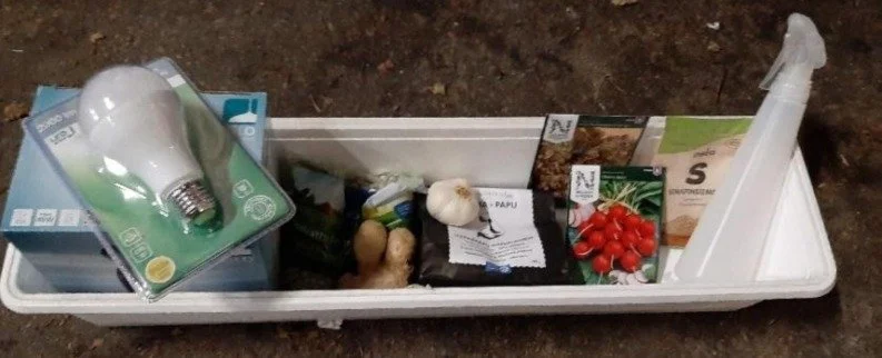 Indoor gardening and the microbiome on Nature. Gut. Brain. The Brain Fuel Blog By Jake Robinson, author of Invisible Friends, Treewilding, and the Nature of Pandemics.