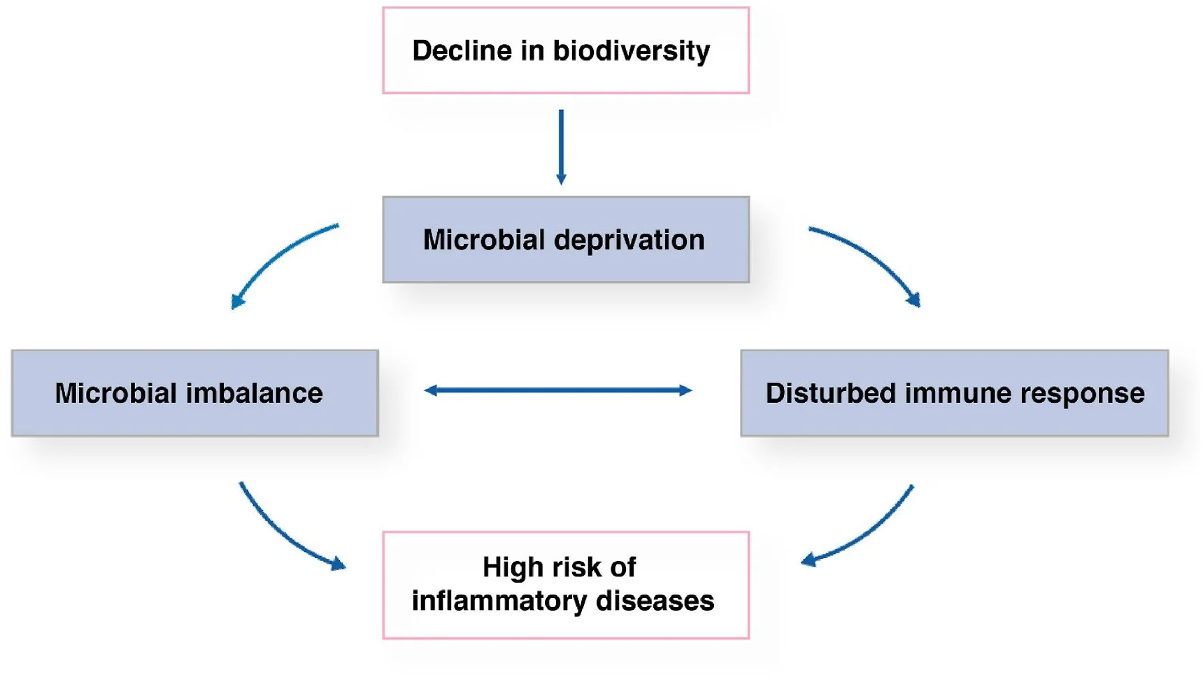 Nature. Gut. Brain. The Brain Fuel Blog By Jake Robinson, author of Invisible Friends, Treewilding, and the Nature of Pandemics.