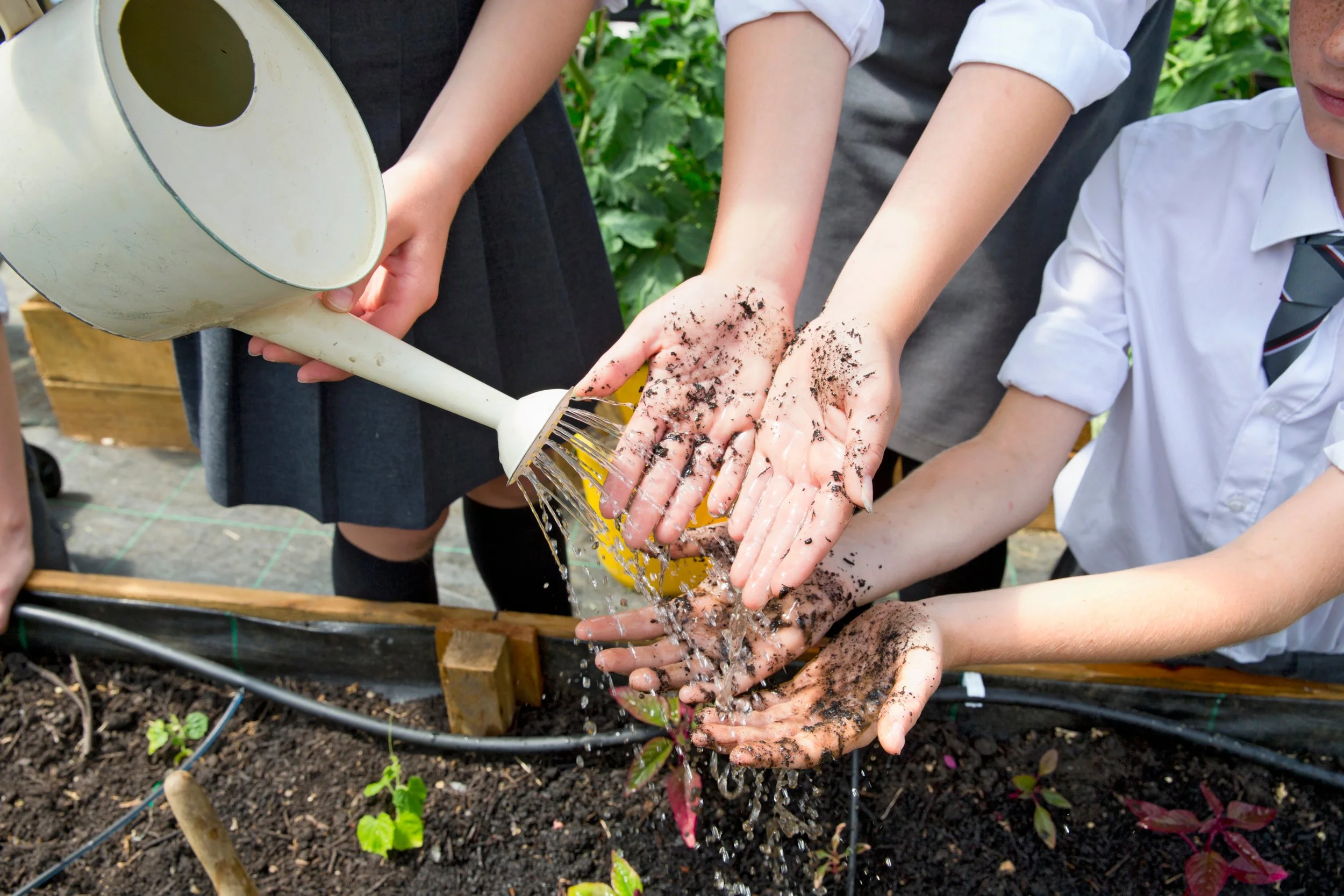 #Microbiome; #Gutbrainaxis; #Biodiversity #Restoration