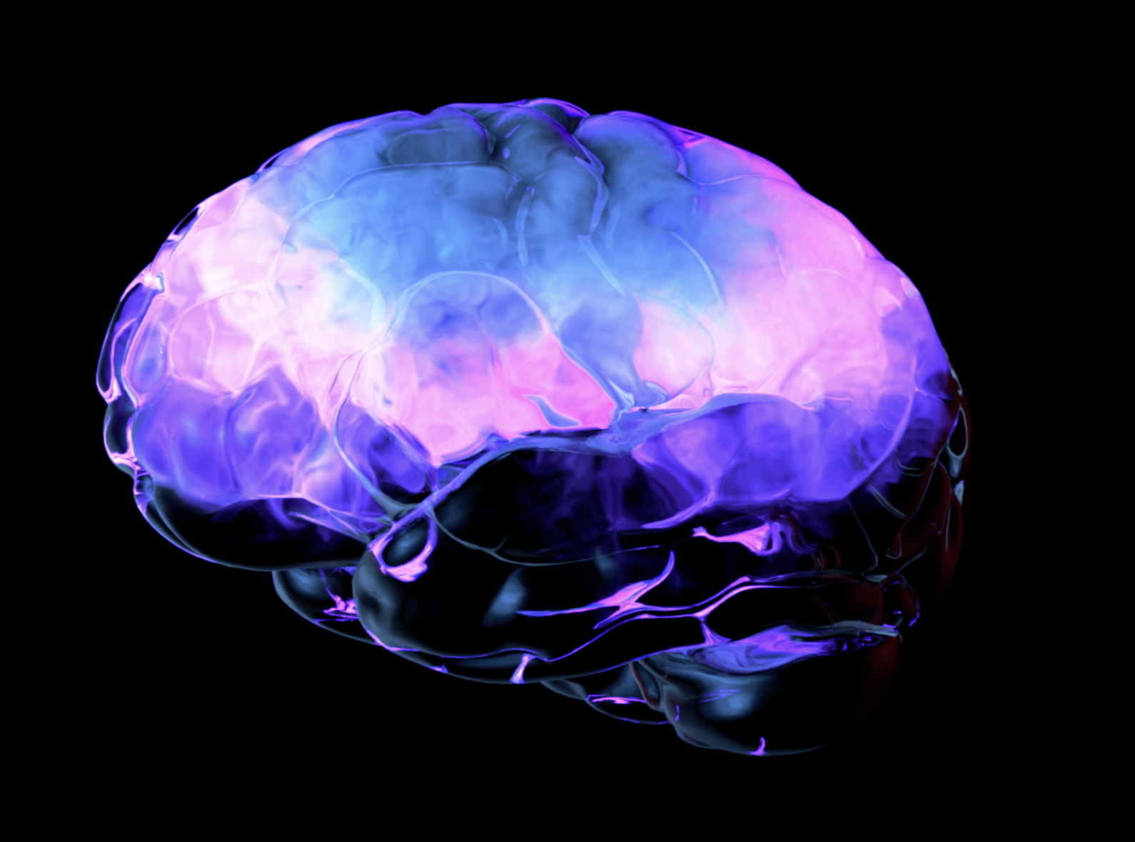 Brain health on Nature. Gut. Brain. The Brain Fuel Blog By Jake Robinson, author of Invisible Friends, Treewilding, and the Nature of Pandemics.