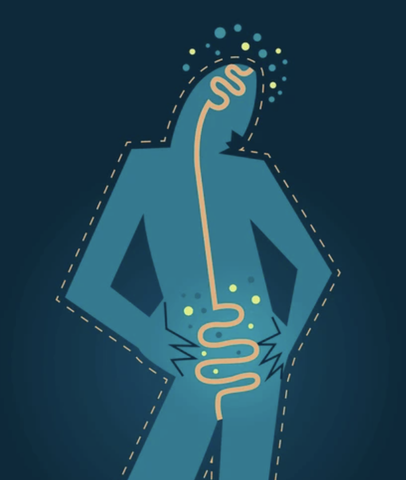 Nature. Gut. Brain. By Jake Robinson, author of Invisible Friends, Treewilding, and the Nature of Pandemics.