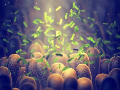 Gut microbiome image on Nature. Gut. Brain. The Brain Fuel Blog By Jake Robinson, author of Invisible Friends, Treewilding, and the Nature of Pandemics.
