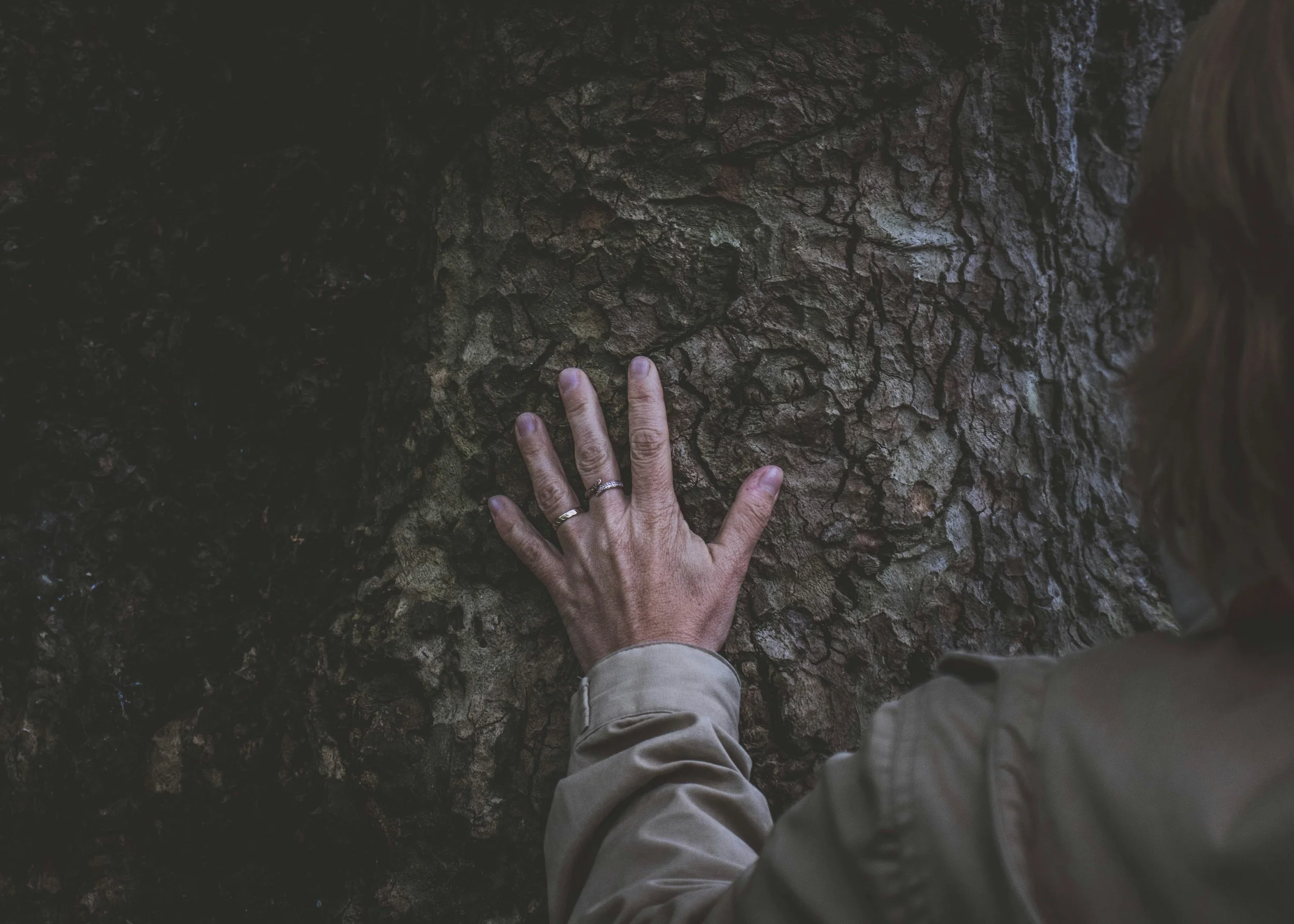 Forest bathing or shinrin yoku on Nature. Gut. Brain. The Brain Fuel Blog By Jake Robinson, author of Invisible Friends, Treewilding, and the Nature of Pandemics.