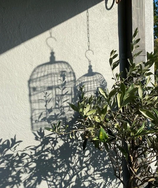 Birdcage shadrows.jpg