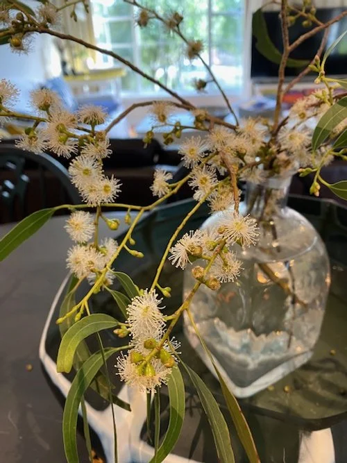 Dining Table Native in Vase.jpg