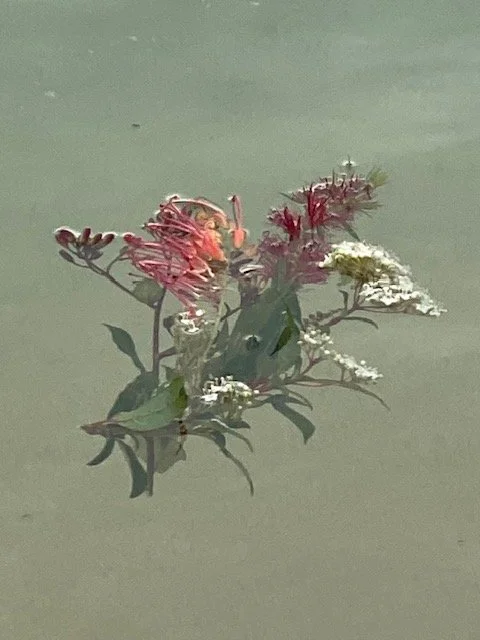 Remembering Kate.jpg