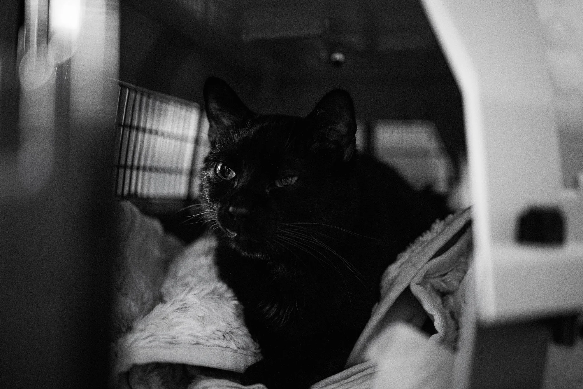 Chocolate Photo Essay-3.jpg