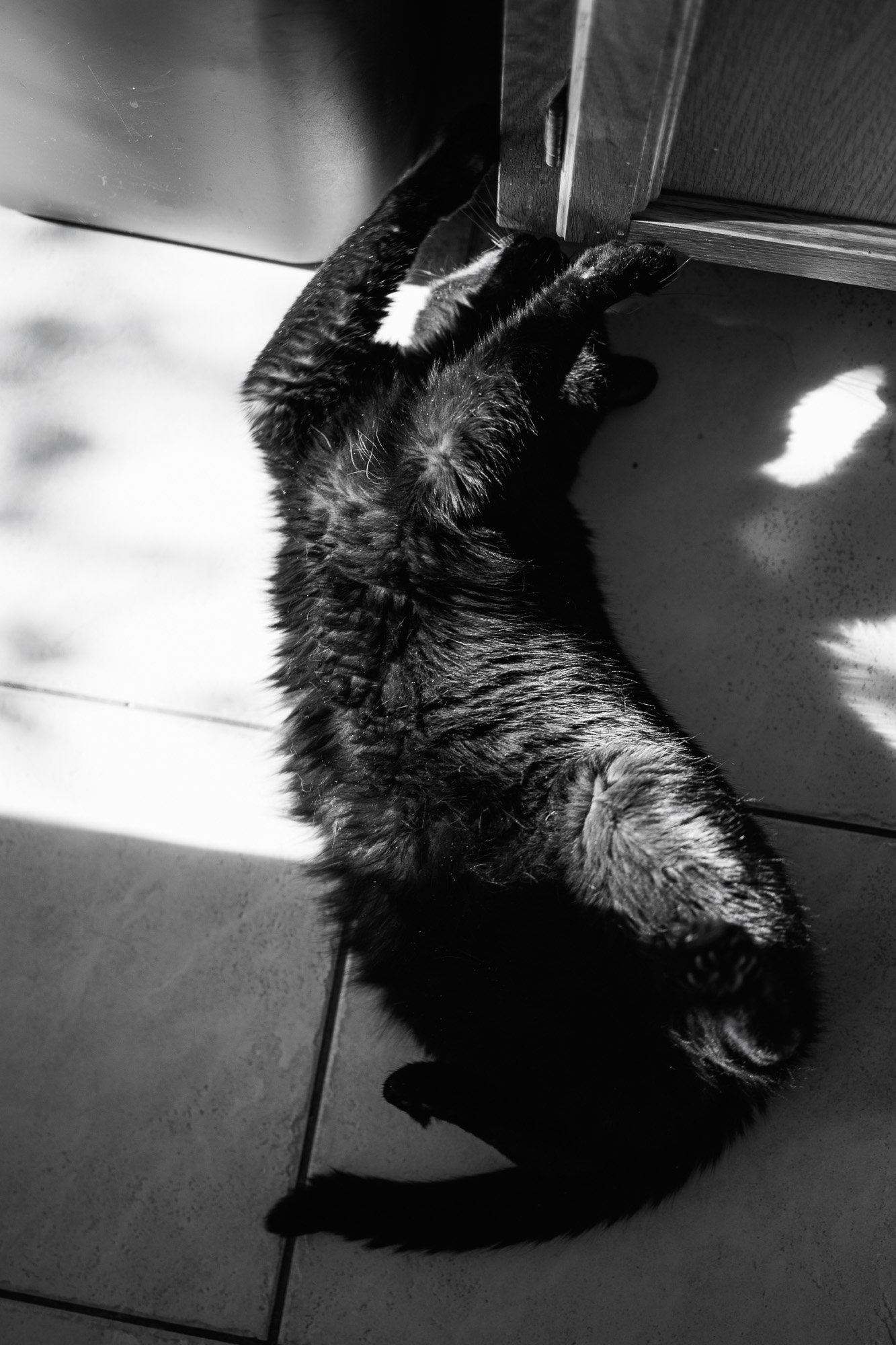 Chocolate Photo Essay-2.jpg