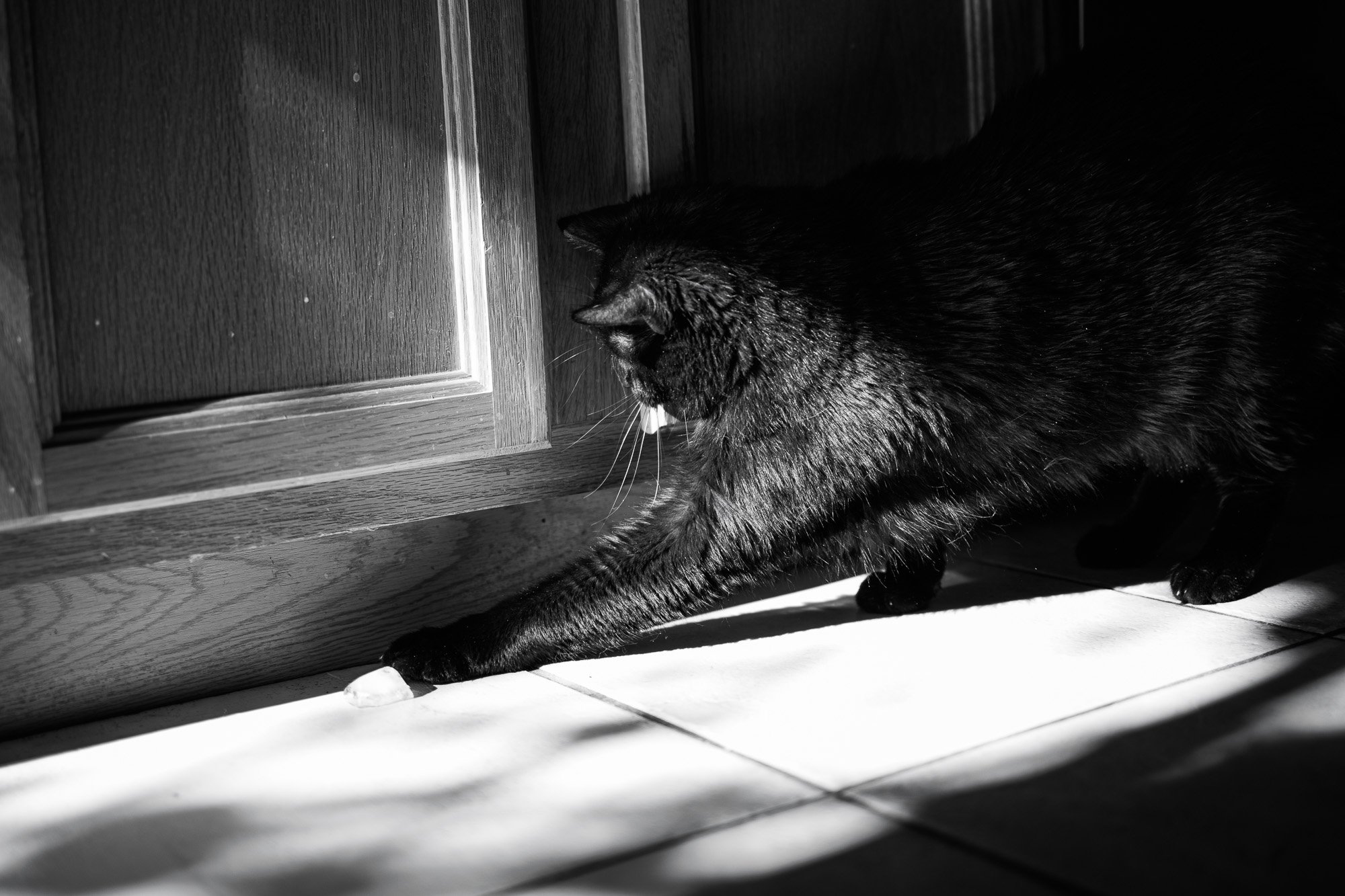 Chocolate Photo Essay-1.jpg