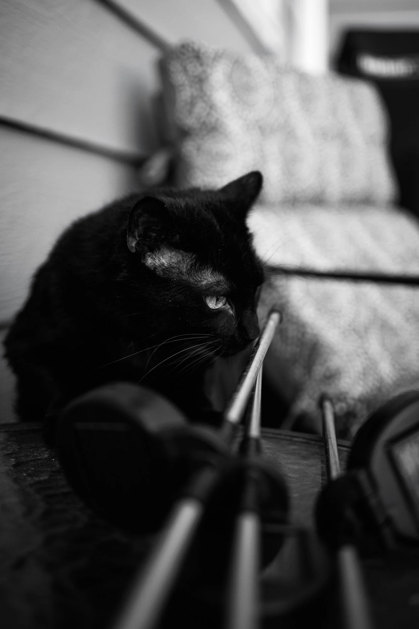 Chocolate Photo Essay-4.jpg