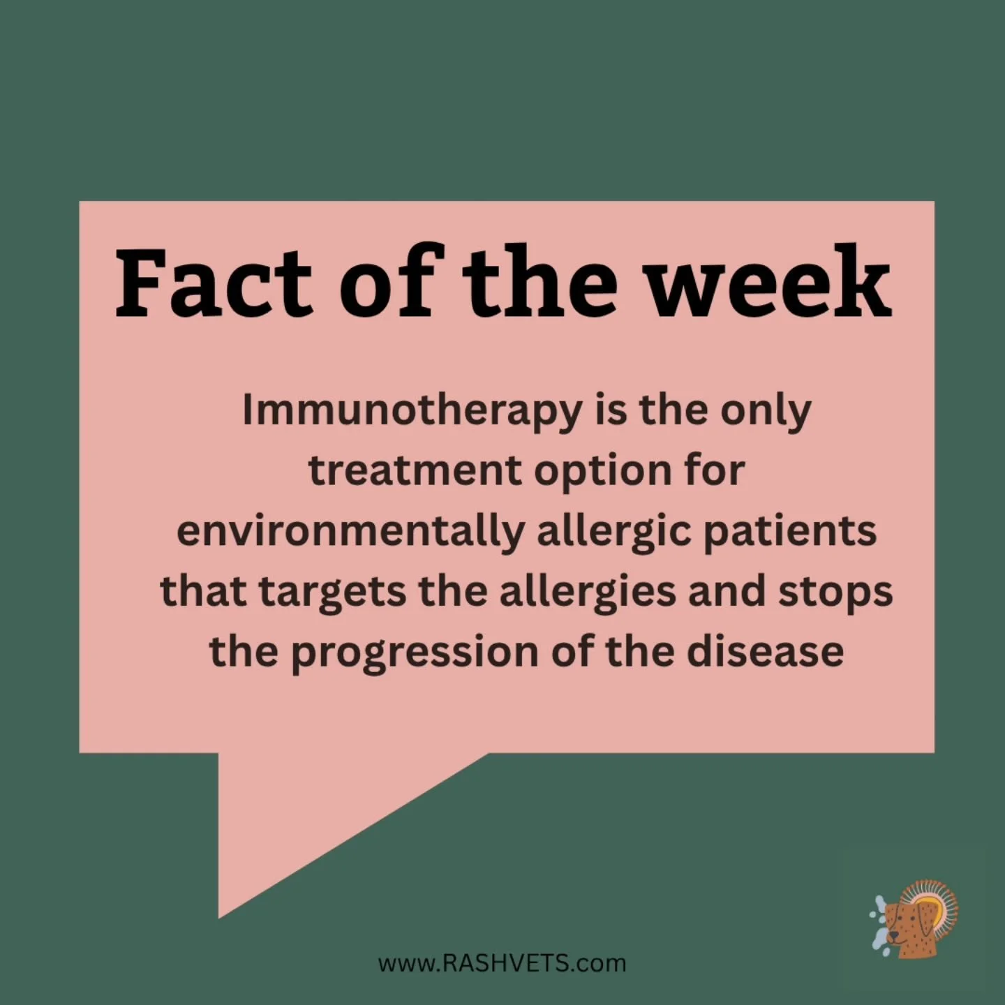 There are a few ways to manage patients who have environmental allergies, but immunotherapy is the only treatment available that targets the cause of the allergies. 

Immunotherapy works to retrain the immune system into being less reactive to enviro