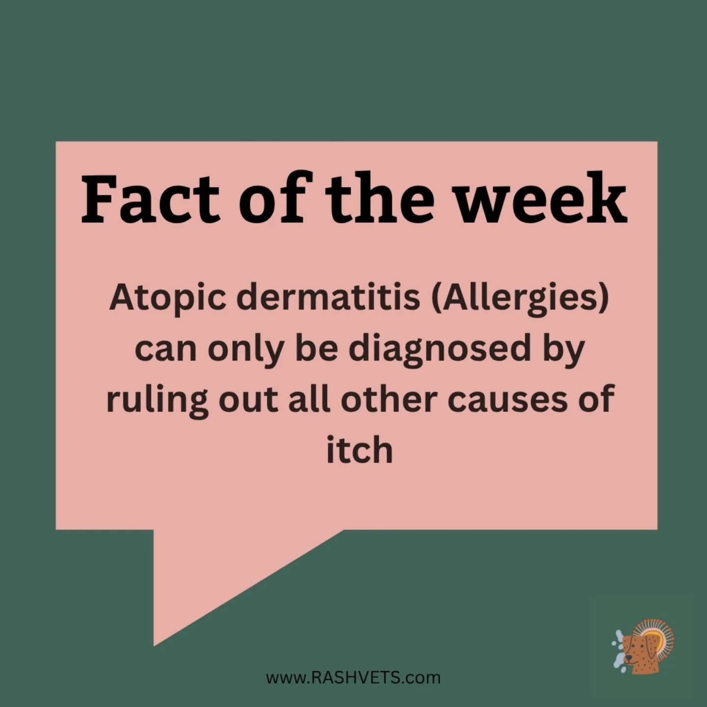 There isn't one single test available to diagnose the cause of allergies in pets. Atopic dermatitis, or allergies, are diagnosed by ruling out everything else that could be making your pet itchy. 

We get clues from your pets medical history and thin