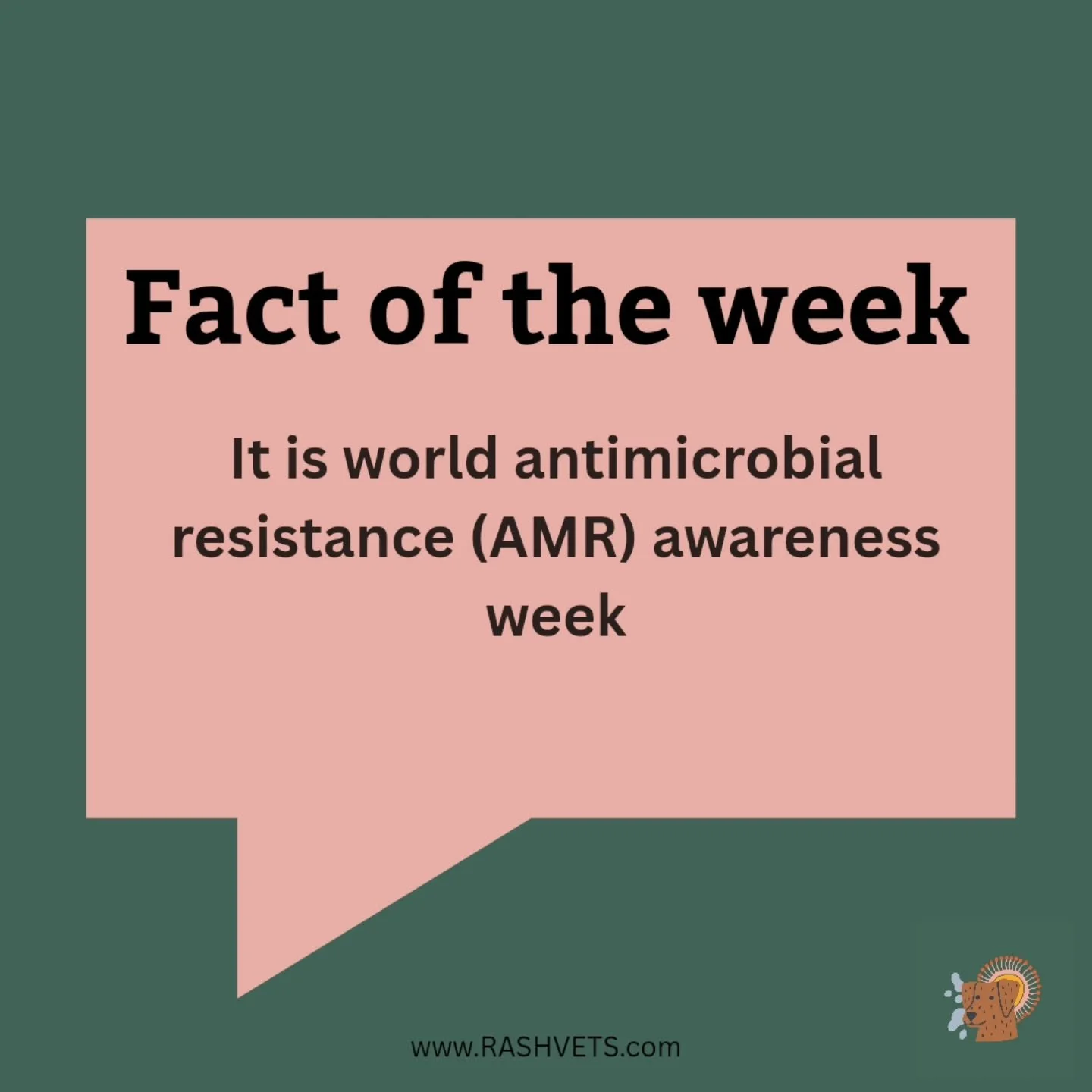 World antimicrobial resistance (AMR) week aims to bring the important topic of antimicrobial resistance into the limelight. 

AMR not only affects us in the veterinary world and our pets, but also ourselves as people. Resistant bacteria are a concern