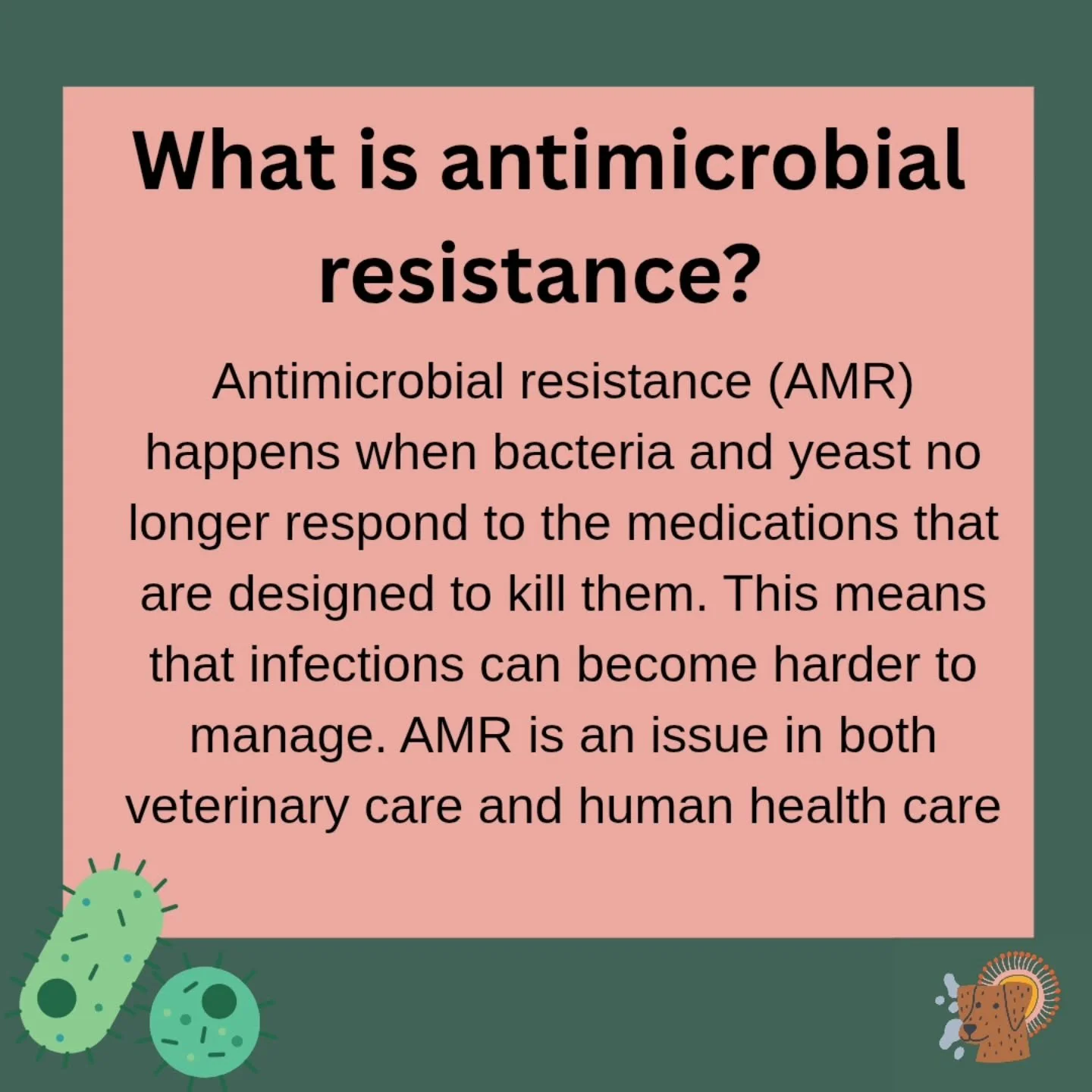 Antimicrobial resistance isn't just an issue we worry about in the veterinary world. It's also a very big and very concerning issue when it comes to our own healthcare as humans. 

Learn why it AMR happens and why it's such a global concern. 

#veter