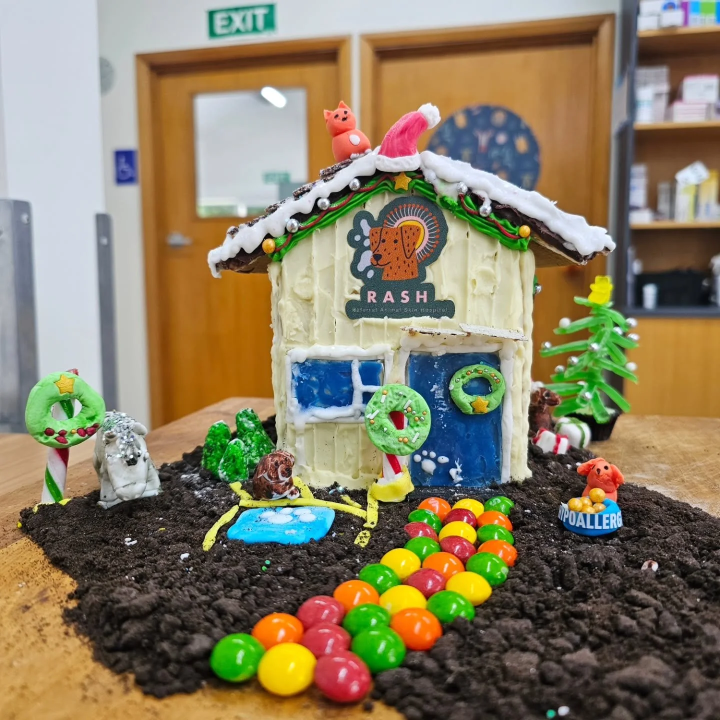 The RASH team has been busy with more than just patients, we've also been creating this masterpiece for the @kahuvetnz Christmas competition. 
Based off the actual RASH clinic, it's complete with a patient on an elimination diet trial (because, of co
