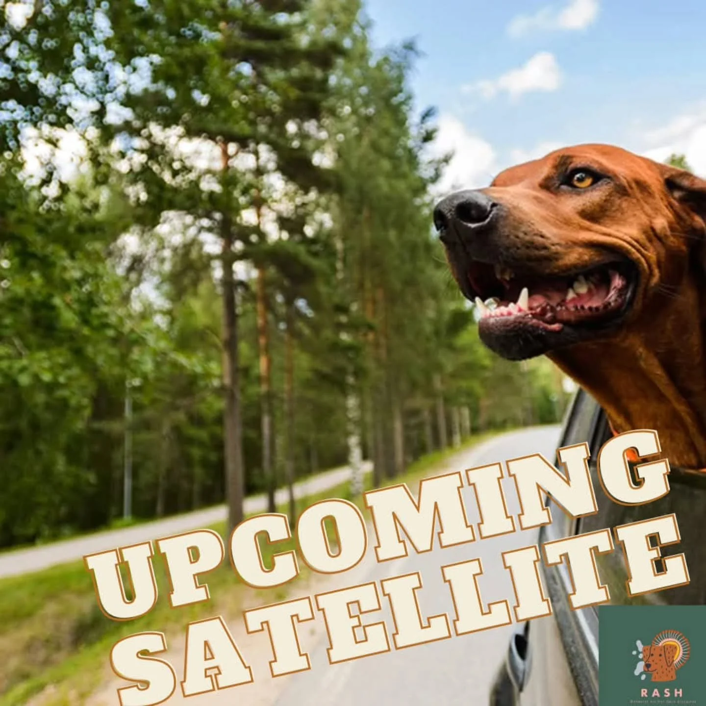 🐾 Wellington at Kelburn Vets🐾

The RASH team will be in Wellington on February 11th to see new referral patients and recheck of existing patients. 

Get in touch today to secure your spot 
Theteam@rashvets.com