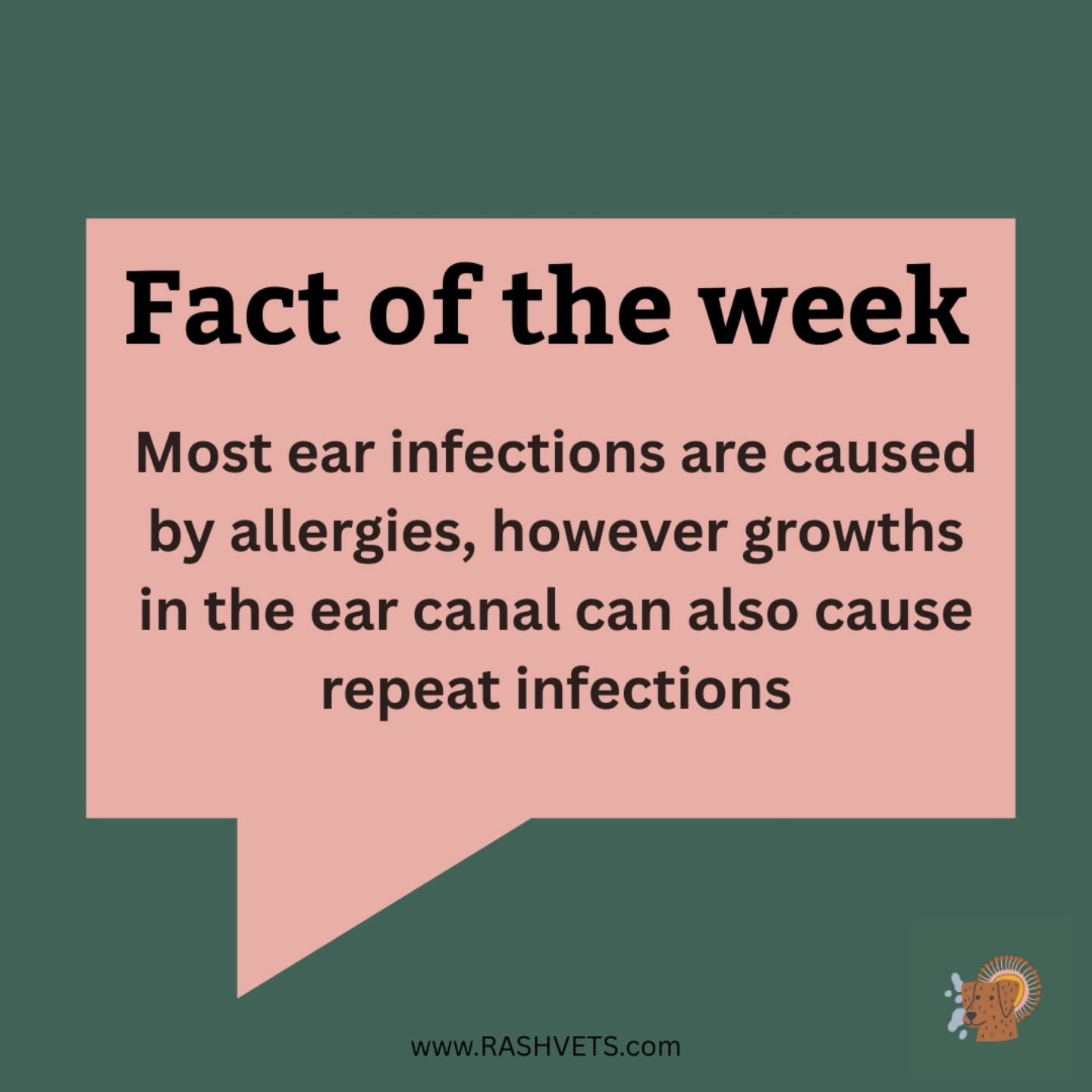 While most ear infections are caused by allergies, sometimes a growth in the ear canal can be reason for repeat ear infections. Especially if the infection is only in one ear. 

Growths in the ear canal can occur for many reasons with chronic inflamm