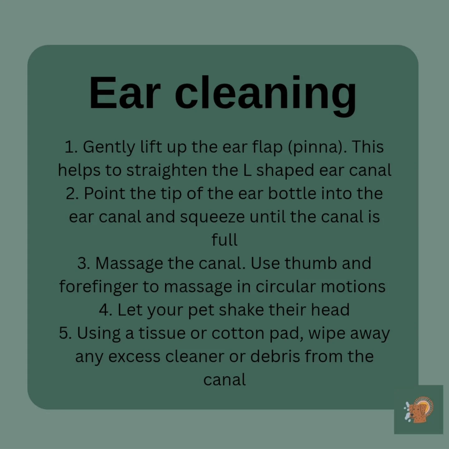 The right technique makes all the difference when cleaning your pet's ears. 

If you have questions or concerns, our nursing team are always happy help and make sure both you and your pet are comfortable with ear cleaning. 

Is this the same techniqu