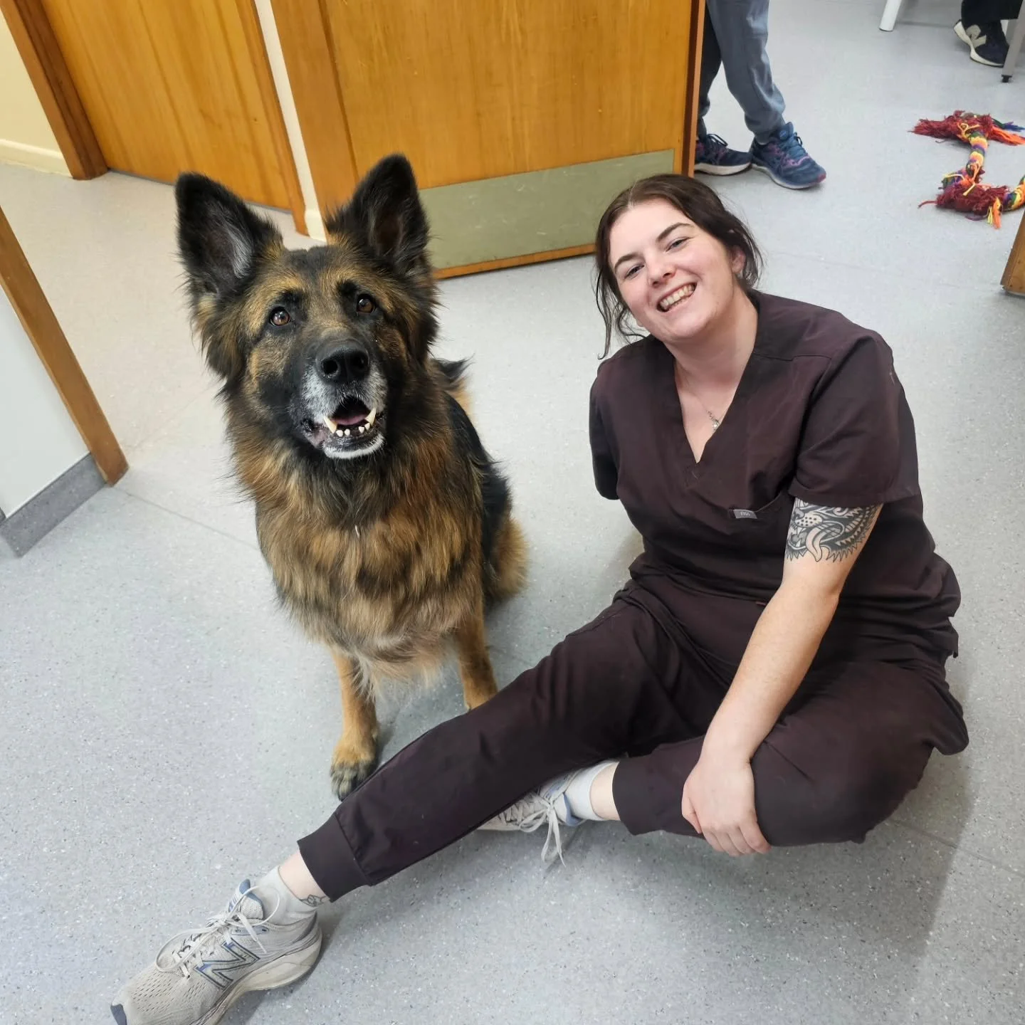 Our nursing team love the bond they get the privilege of forming with your pets. 

Skin and ear disease are often conditions that require lifelong management and routine veterinary visits to remain well managed. Your pet will get to know our team, an