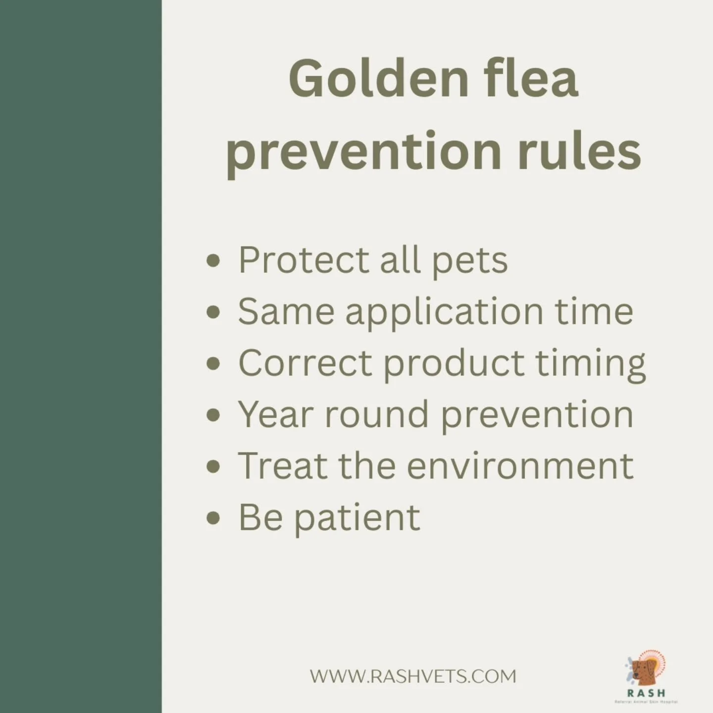 For successful flea control we need to follow the 💫 golden rules 💫 

1. All pets need protection. Cats and dogs are hosts to the same flea species, this means fleas can jump between the two. 
2. Alongside protecting all pets, it's important that al