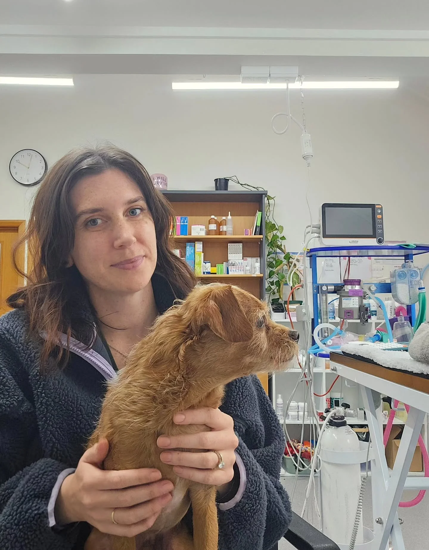 Sometimes you just need a few extra snuggles while the sedation gets working, and we're more than happy to accommodate that 💚

#veterinarydermatology #vetvisit #petcare #vetcare #petowner