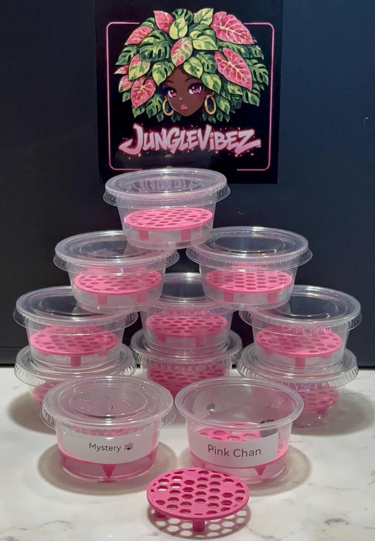 Jungle Pods -Corm Cups