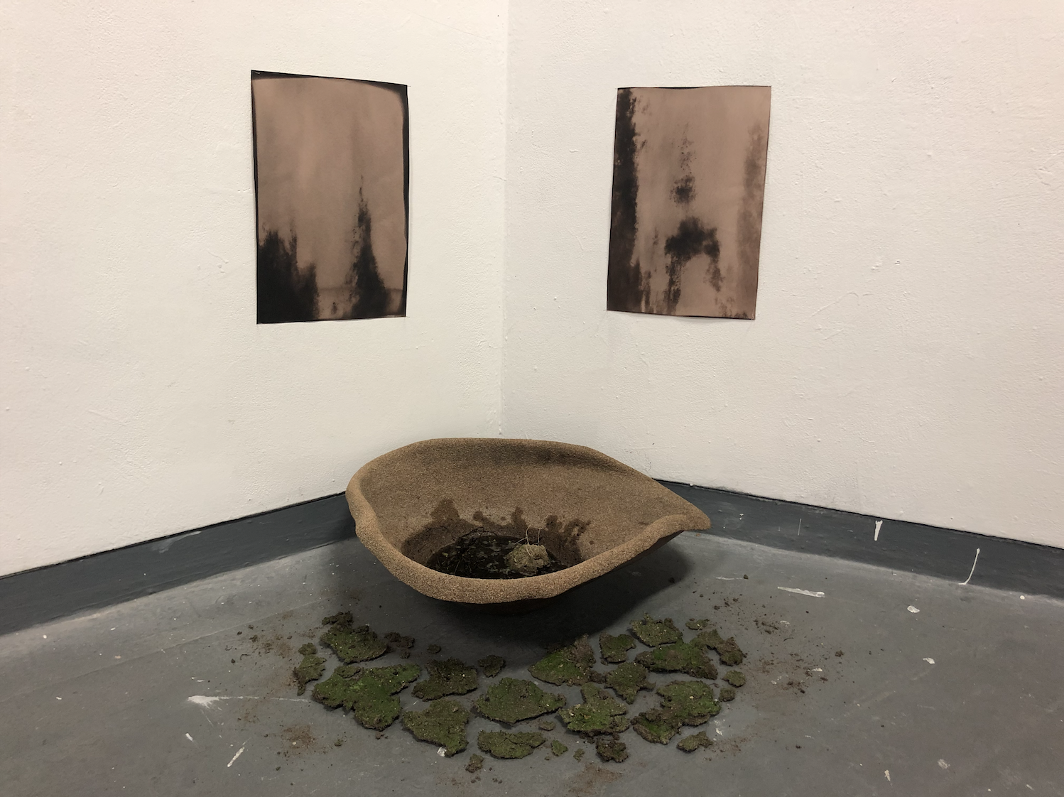 'Moss bath', cyanotype prints, rock, water, moss bird bath, 2022