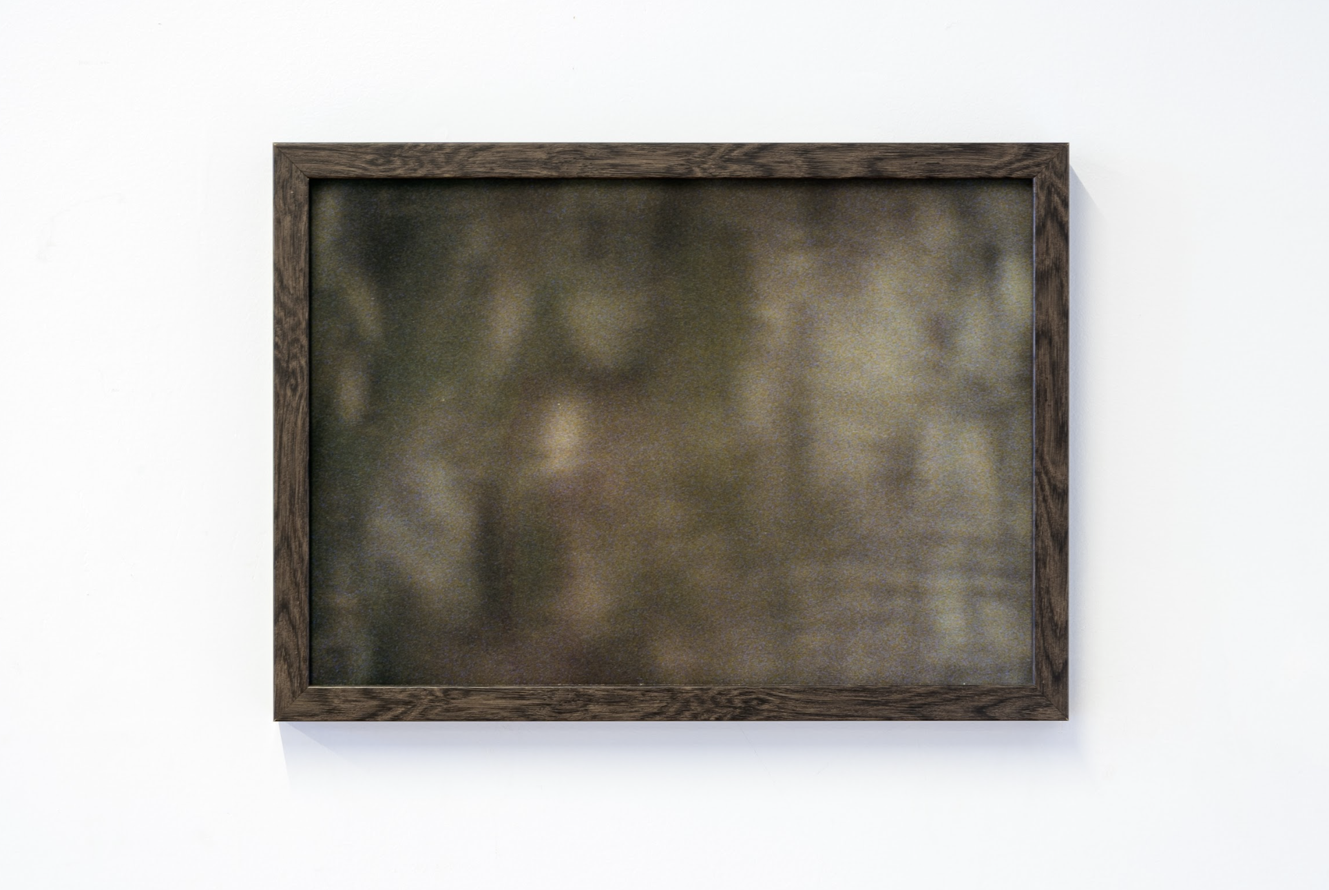 'Pasture', Archival matte print, 420x297mm, 2024