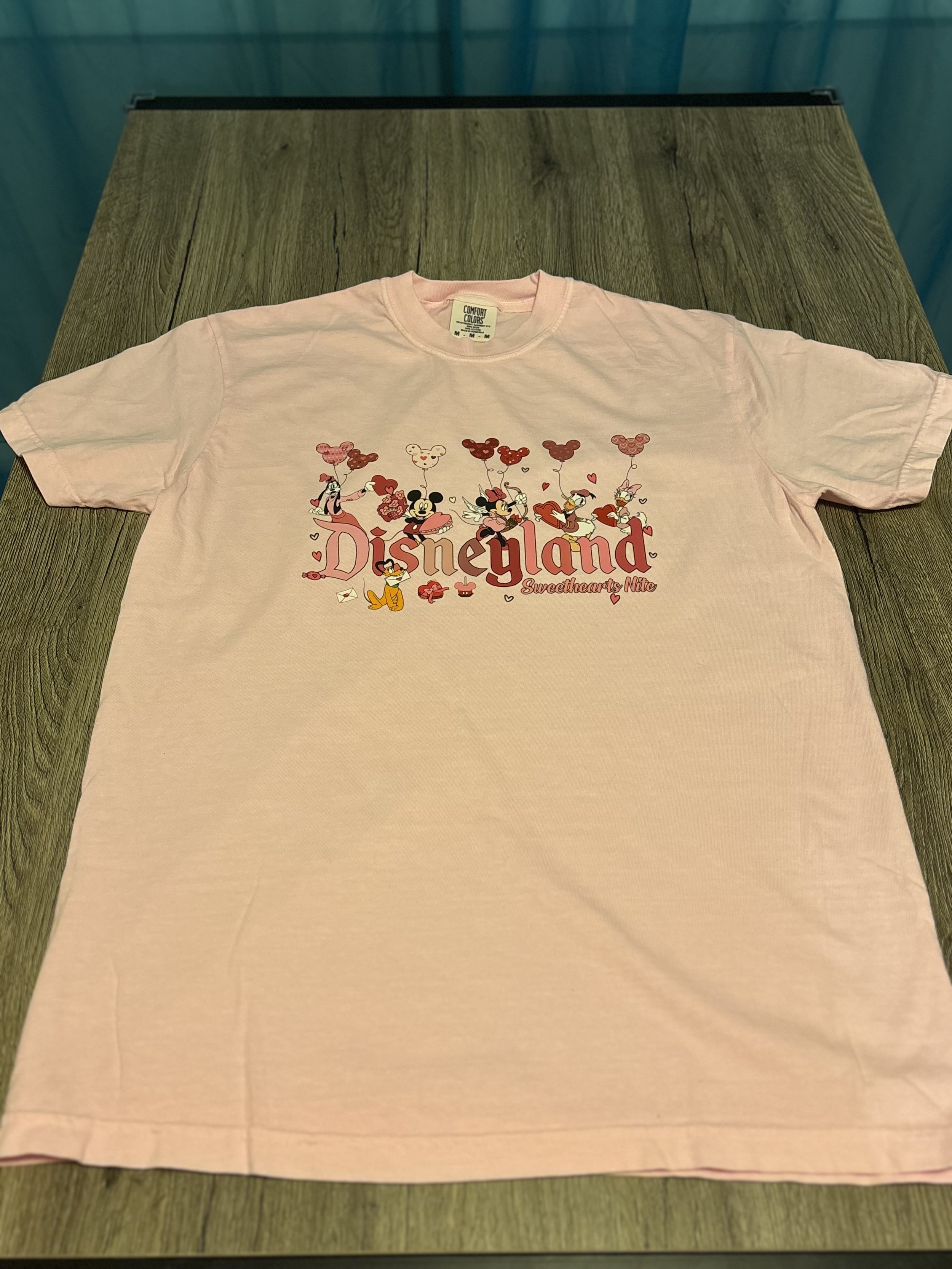 Magic Kingdom Valentine-Limited Stock