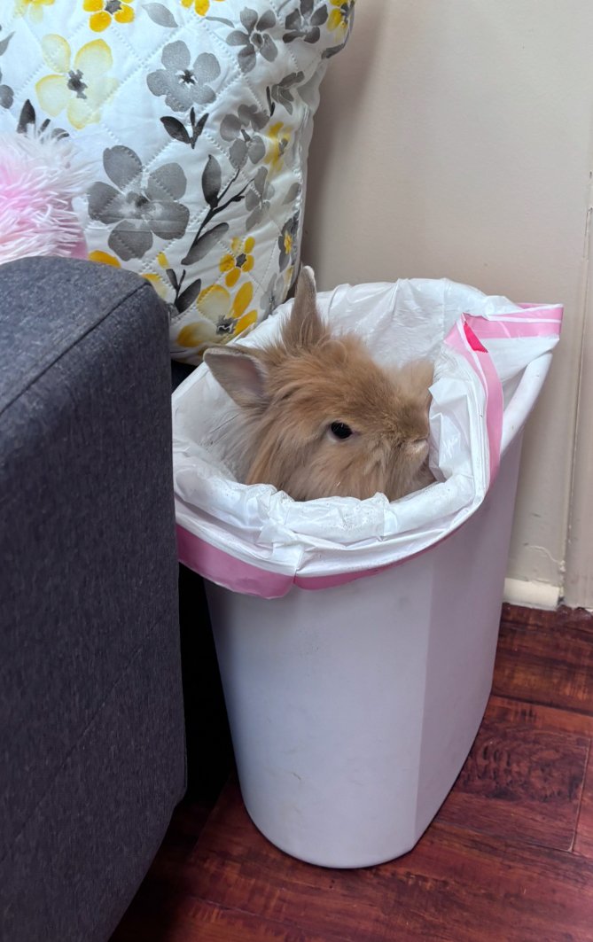 Butters In a trash can.jpg