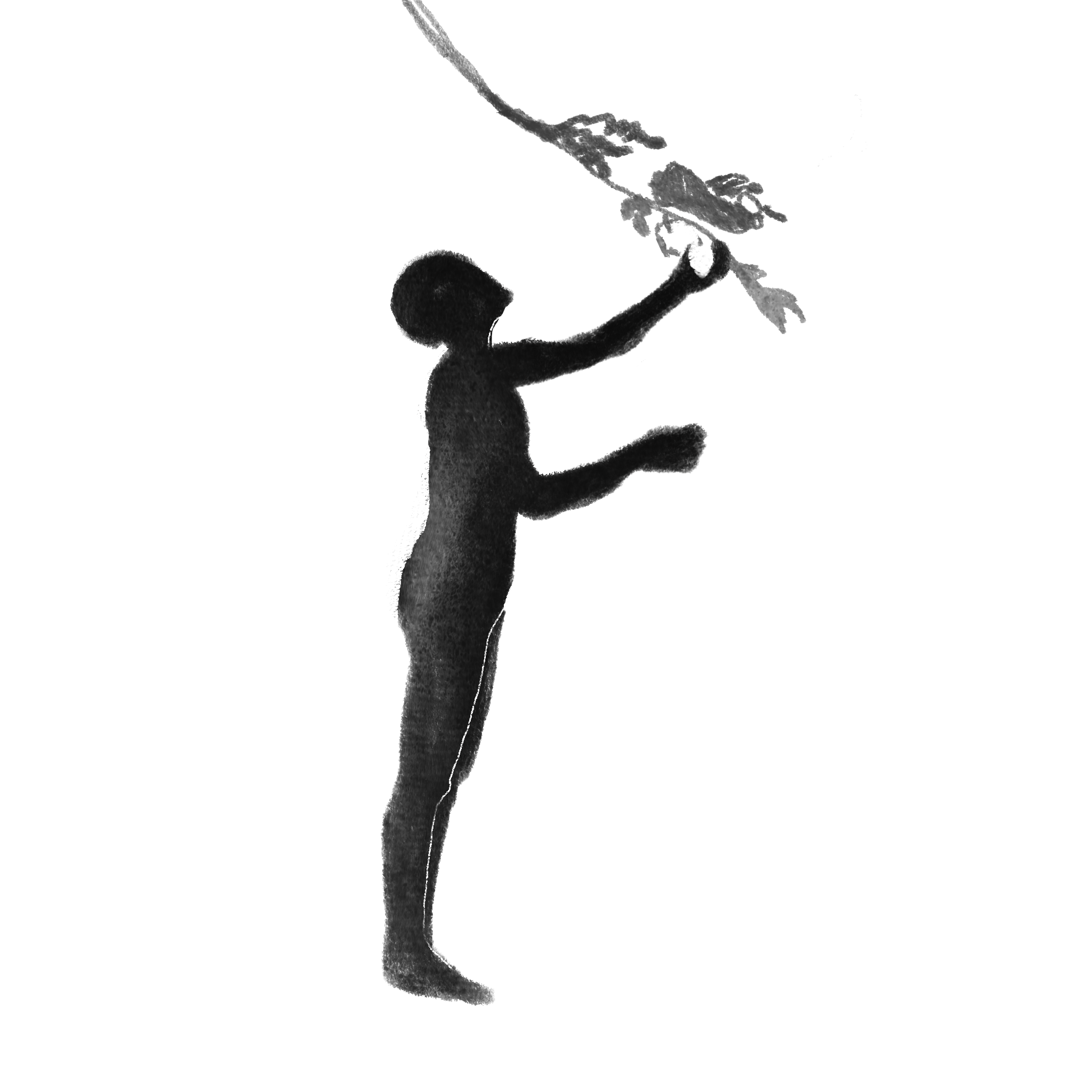 Untitled_Artwork 1.PNG