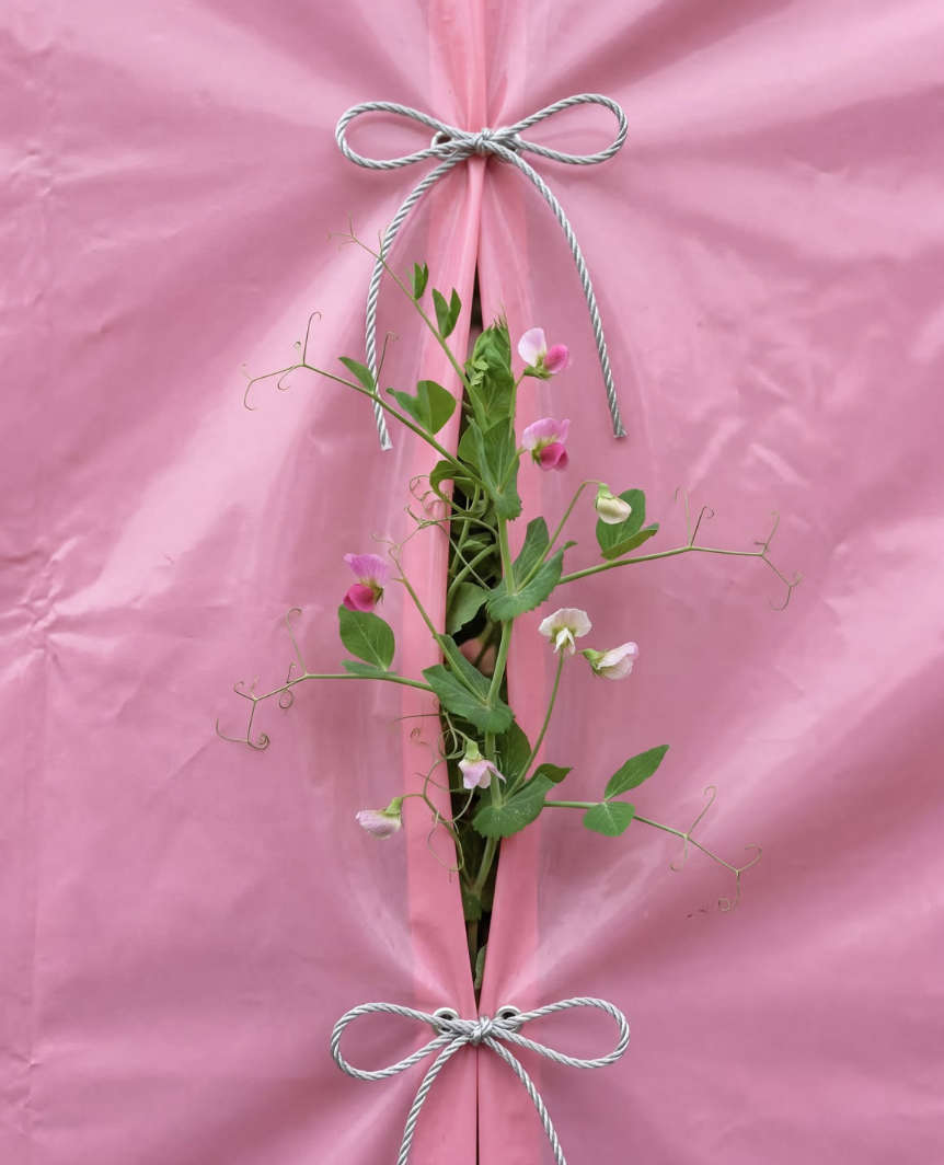 The Future of Slow Fashion