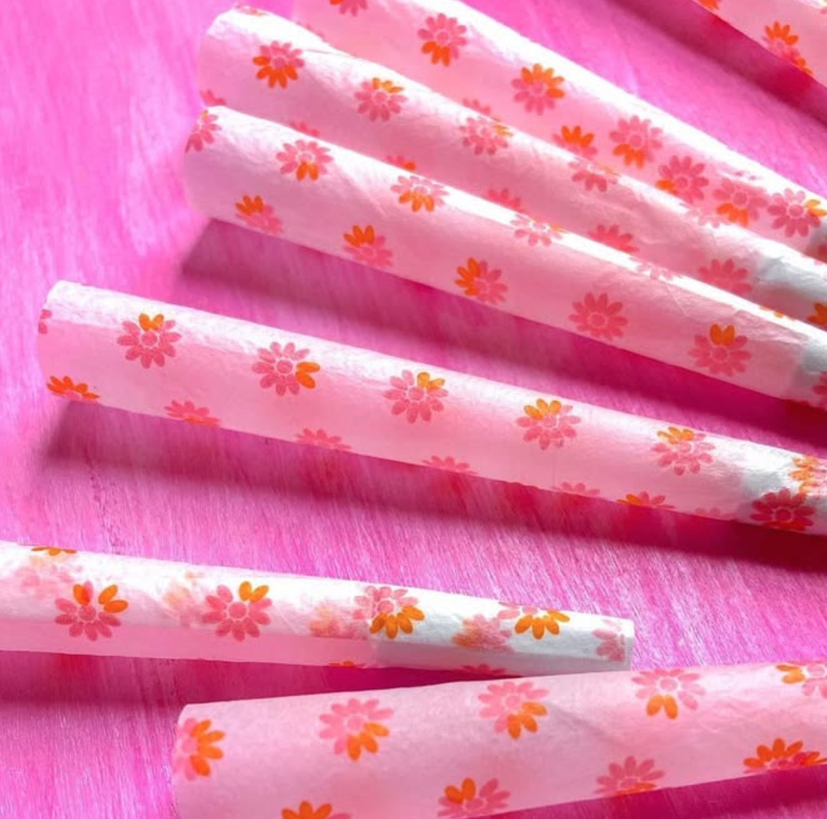 Screen Shot 2024-12-20 at 12.06.54 PM.png