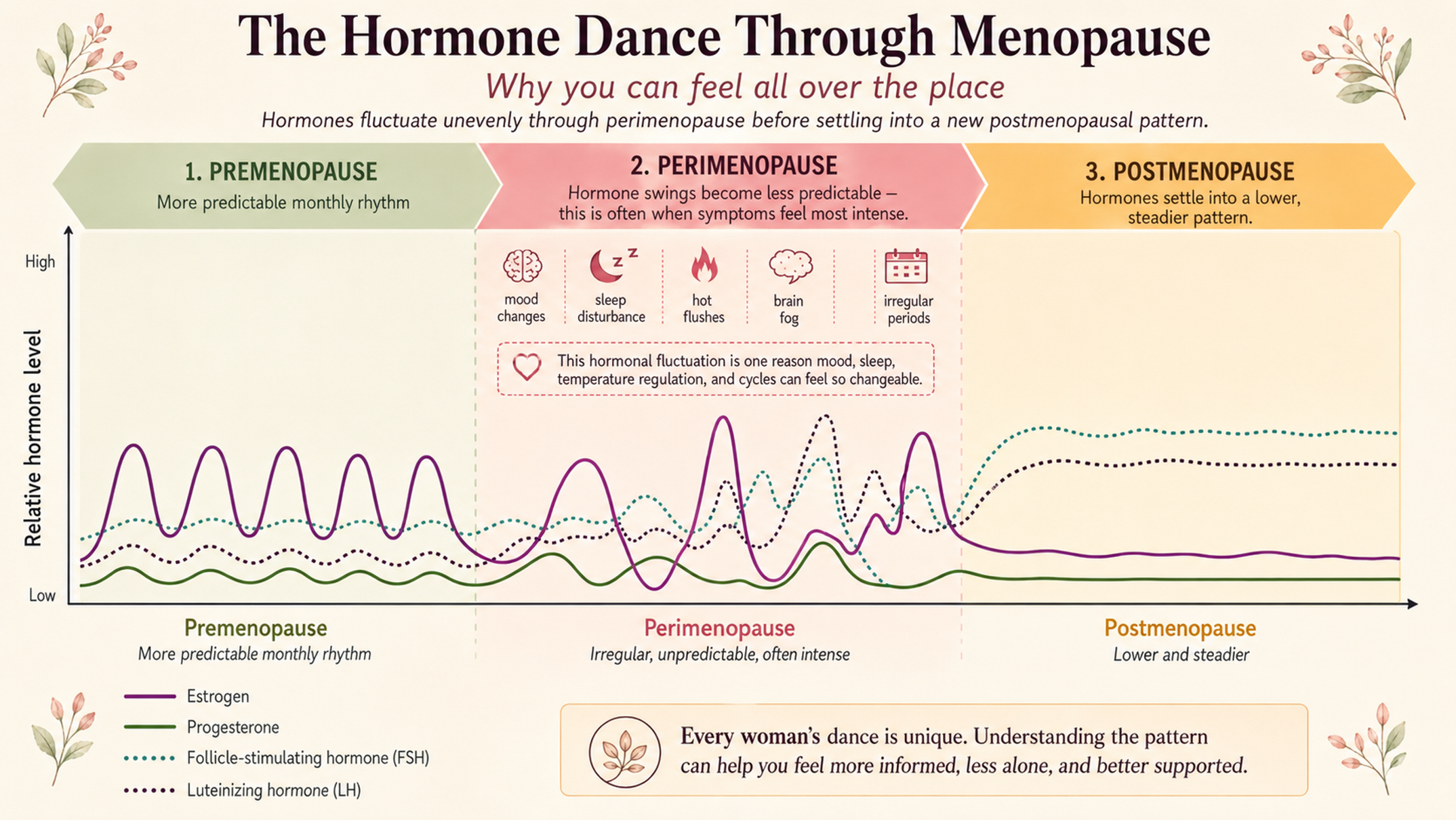 Hormone Fluctuation