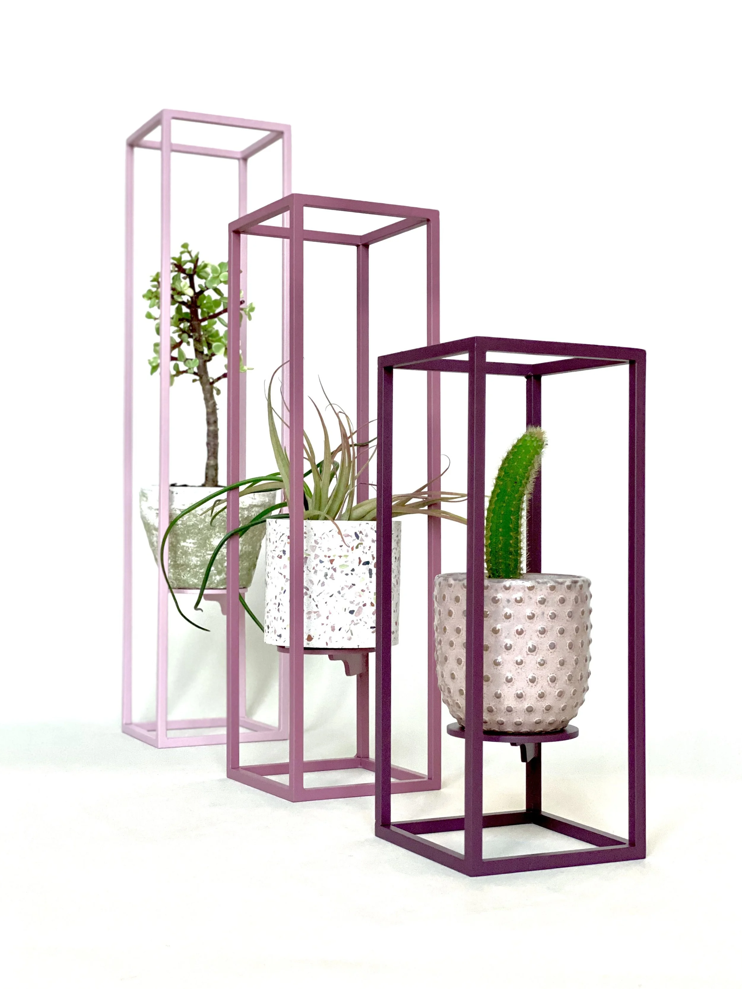 Three decorative planters with various houseplants inside, supported by open metal frames in pink and purple colors, against a white background.