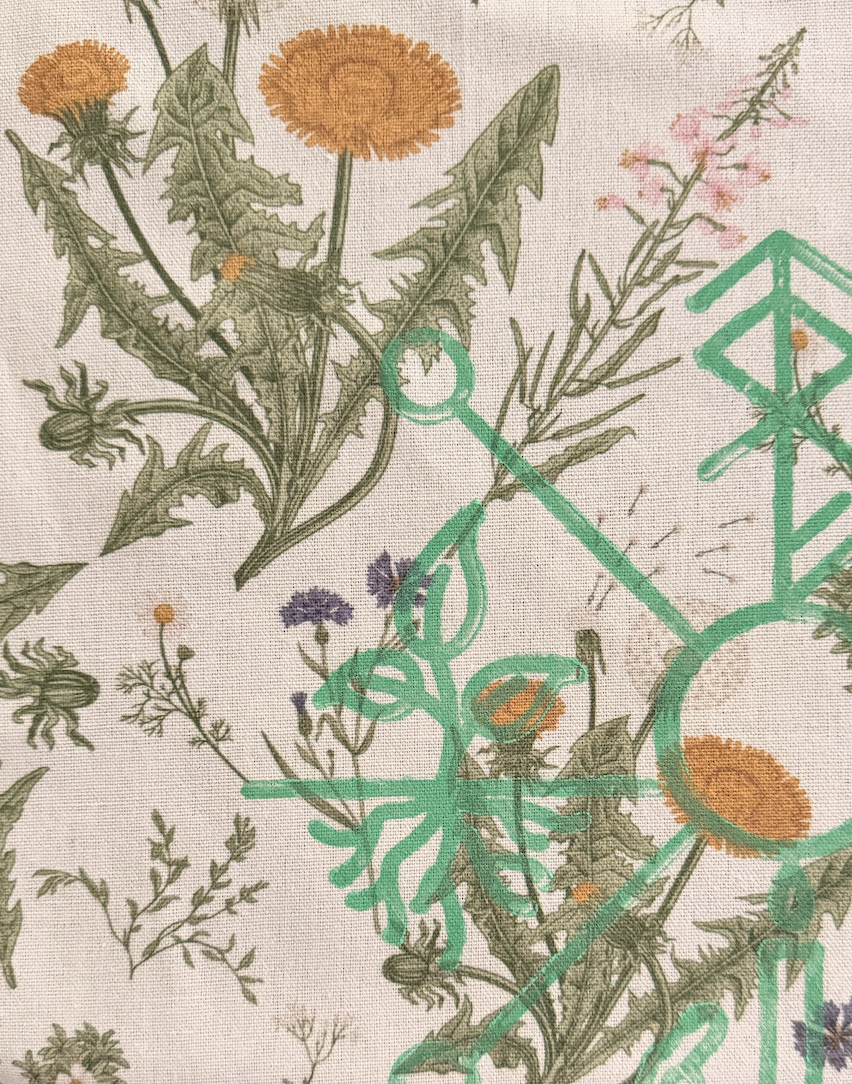 Image 5-2-26 at 3.03 PM.png