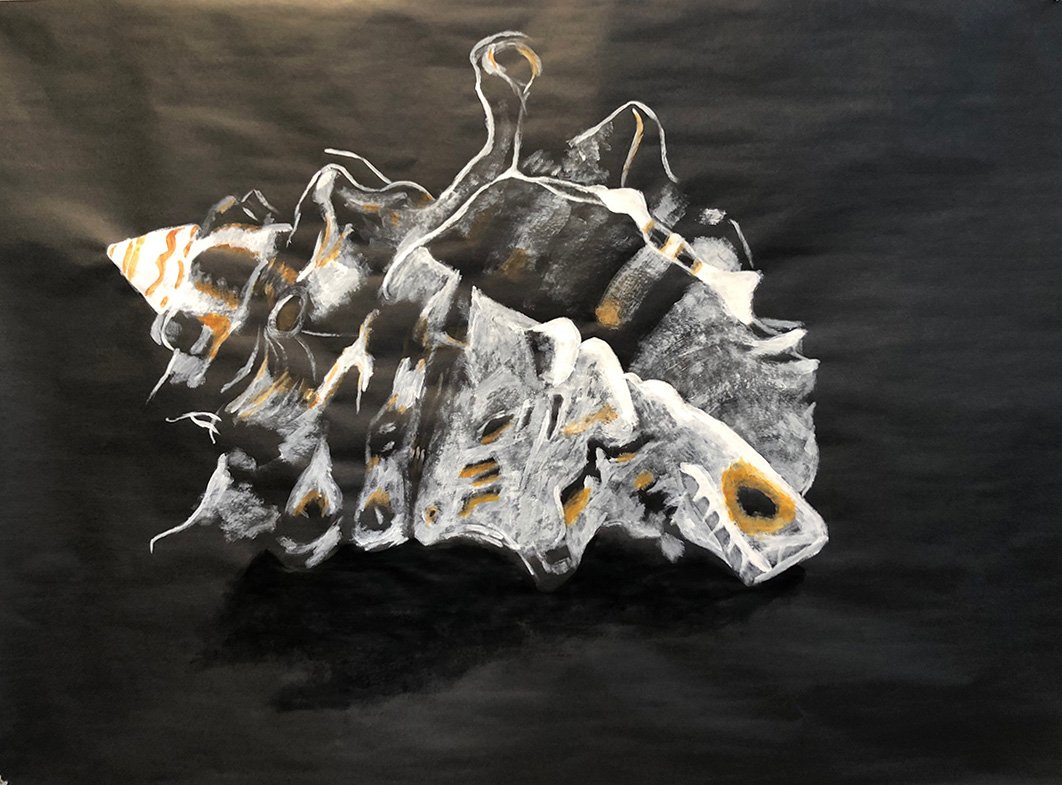 Shell 1, Acrylic paint on paper, 48" by 60"
